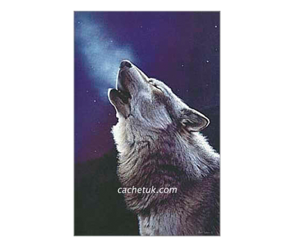 Picture of a wolf, limited edition print size 253 x 400 (mm)