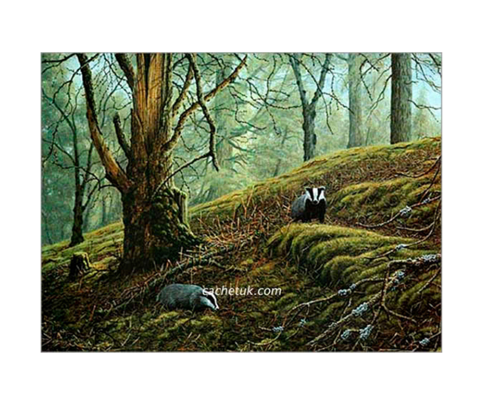 Picture of two badgers, limited edition print size 389 x 290 (mm)