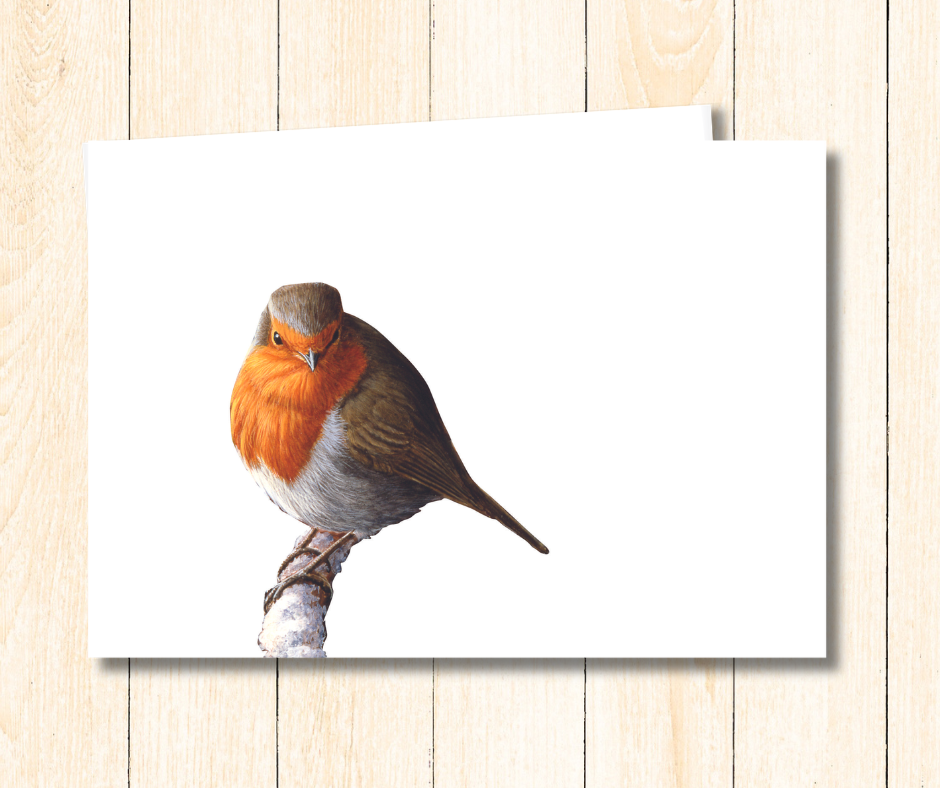 Small art card of a colourful robin bird on a white background. Size 11.8 x 9.0 cms, blank inside with envelope