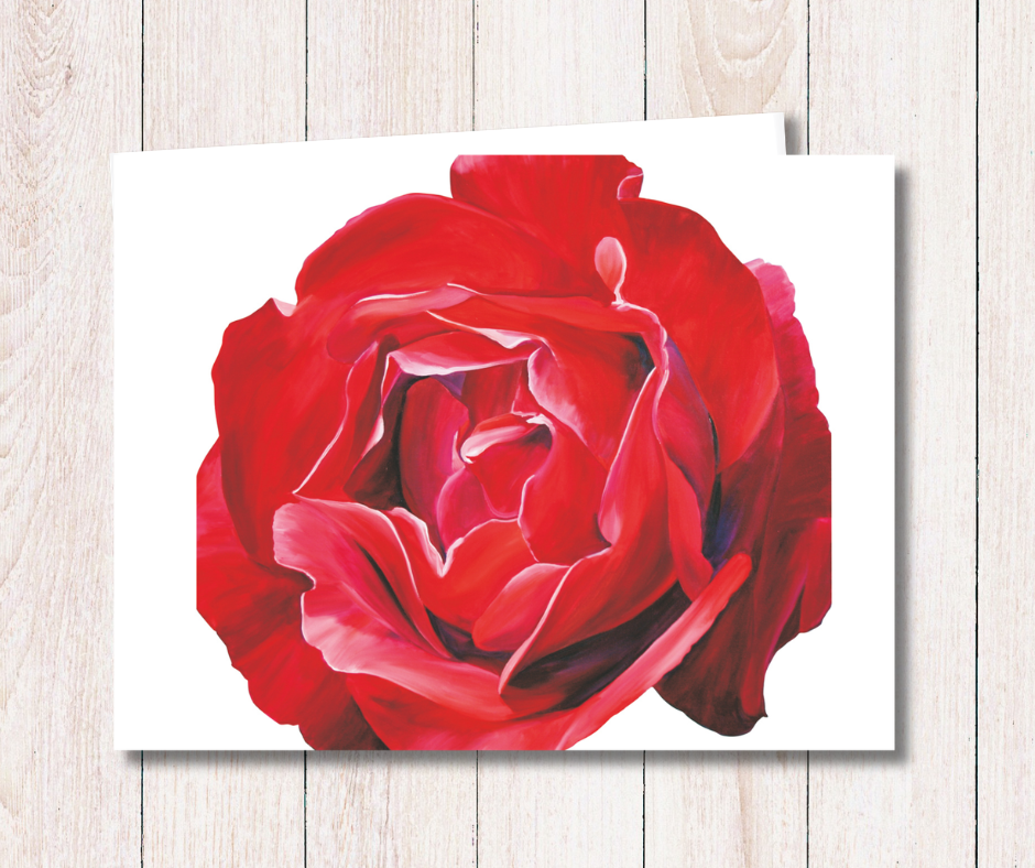 Small art card of a vibrant red blush flower on a white background. Size 11.8 x 9.0 cms, blank inside with envelope