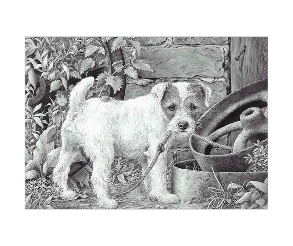 Picture of a jack russel puppy dog, limited edition print of 850 size 280 x 200 (mm)