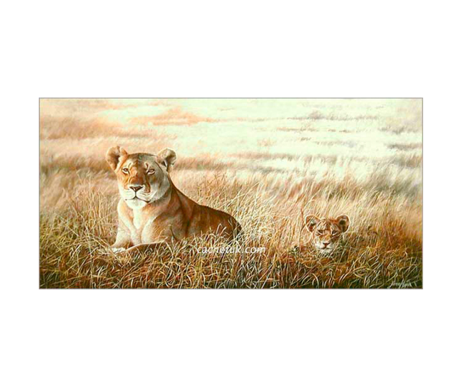 Picture of a lioness & her cub, limited edition print size 441 x 220 (mm)