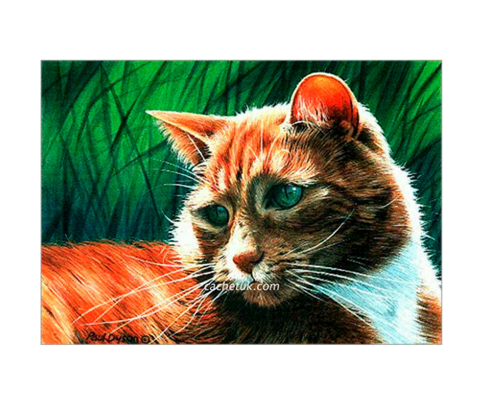 Cat_Print_PD21.png