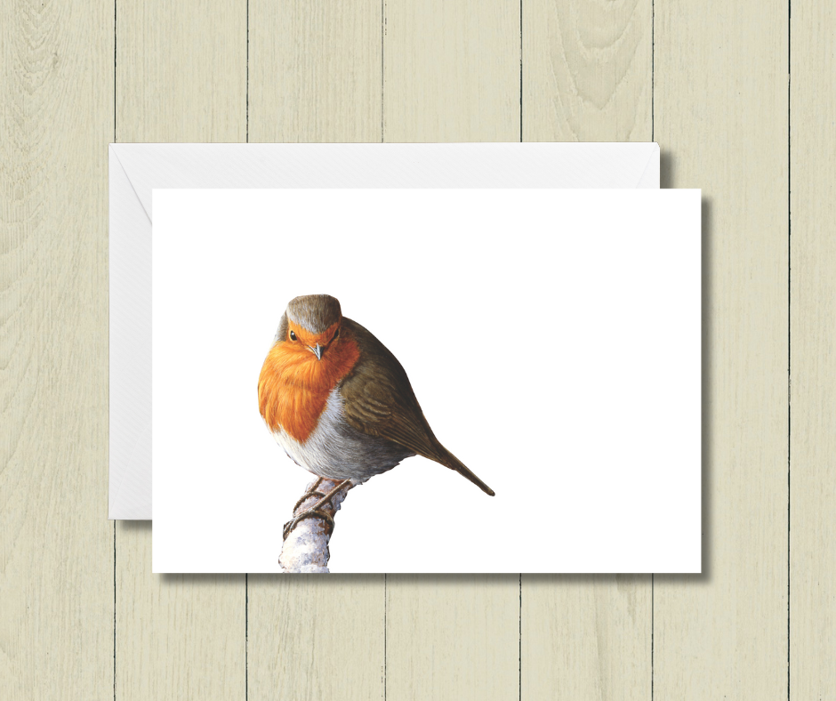 Small art card of a colourful robin bird on a white background. Size 11.8 x 9.0 cms, blank inside with envelope