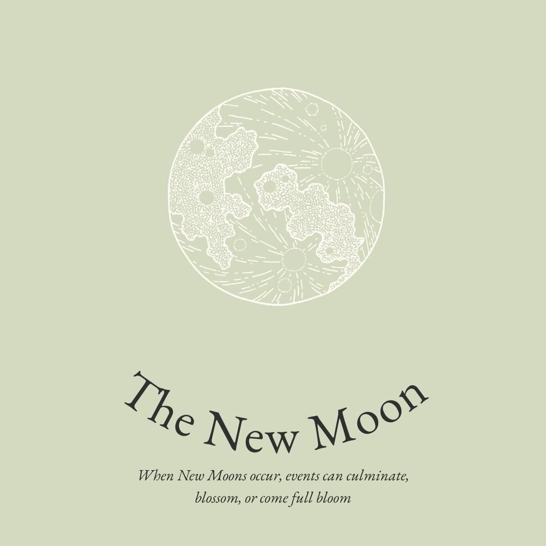 New Moon Blessings in Taurus! 

This month you'll be focusing on what you want to grow in your life and tend to the seeds of those hopes, dreams, wishes and intentions.

Do you remember your New Year Intentions?
Have you checked in with your progress