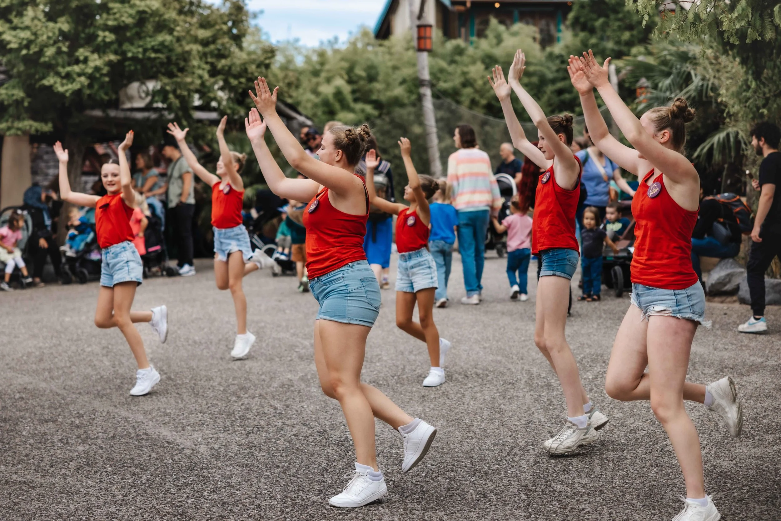 dietervdplas  - PHOTO - August 23, 2025_-17.JPG