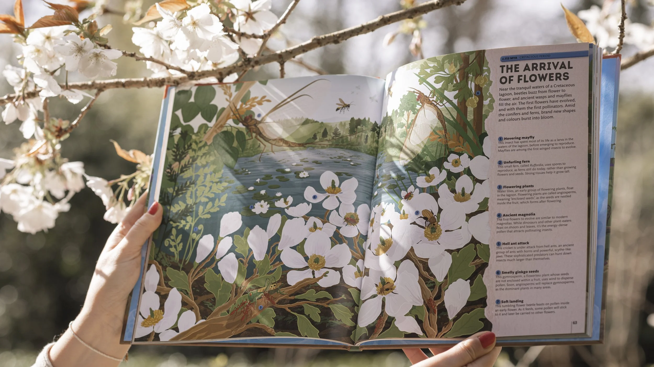 Books — Nature Tales & Trails