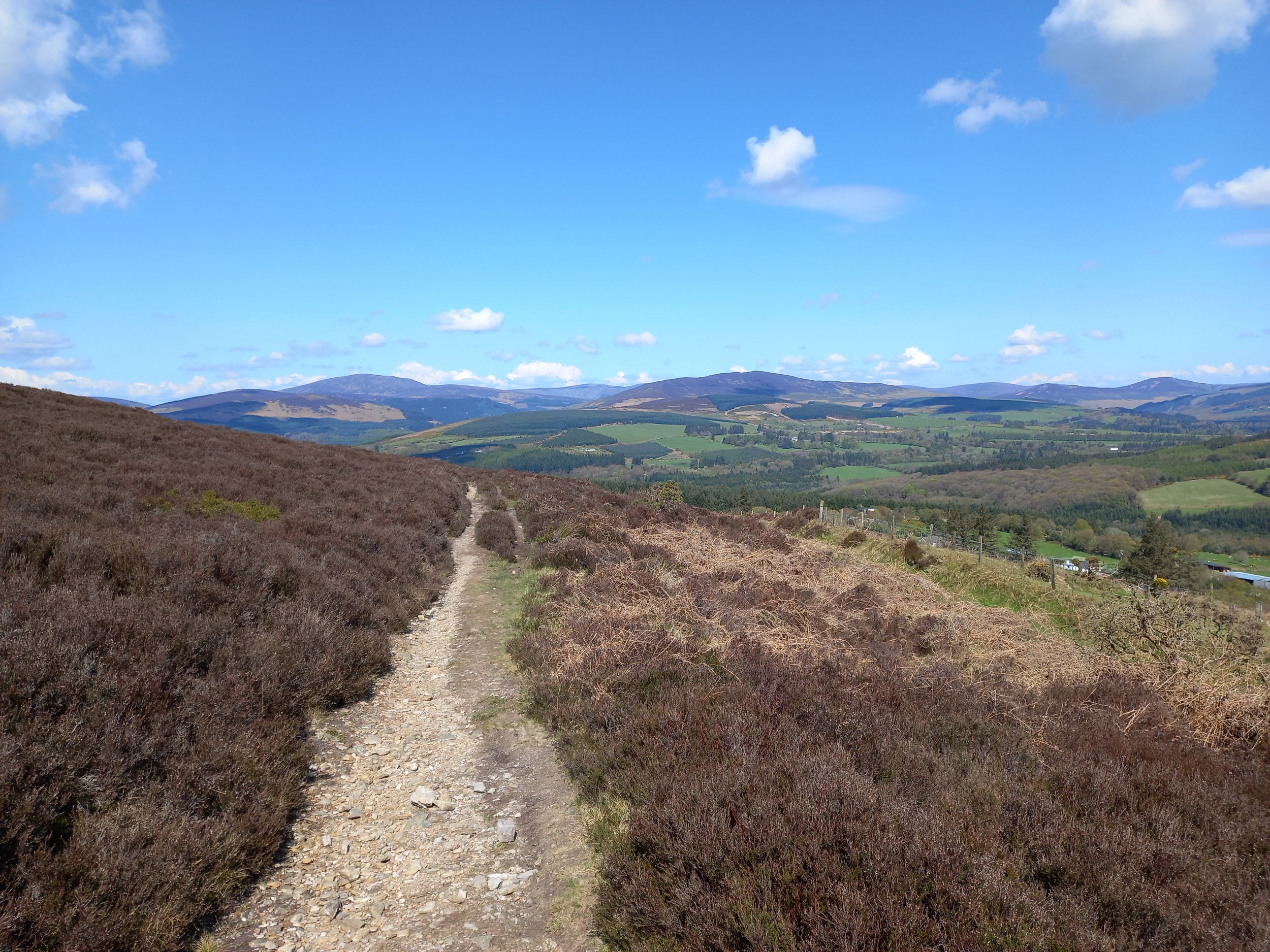 heather and bracken on a hill with blue sky