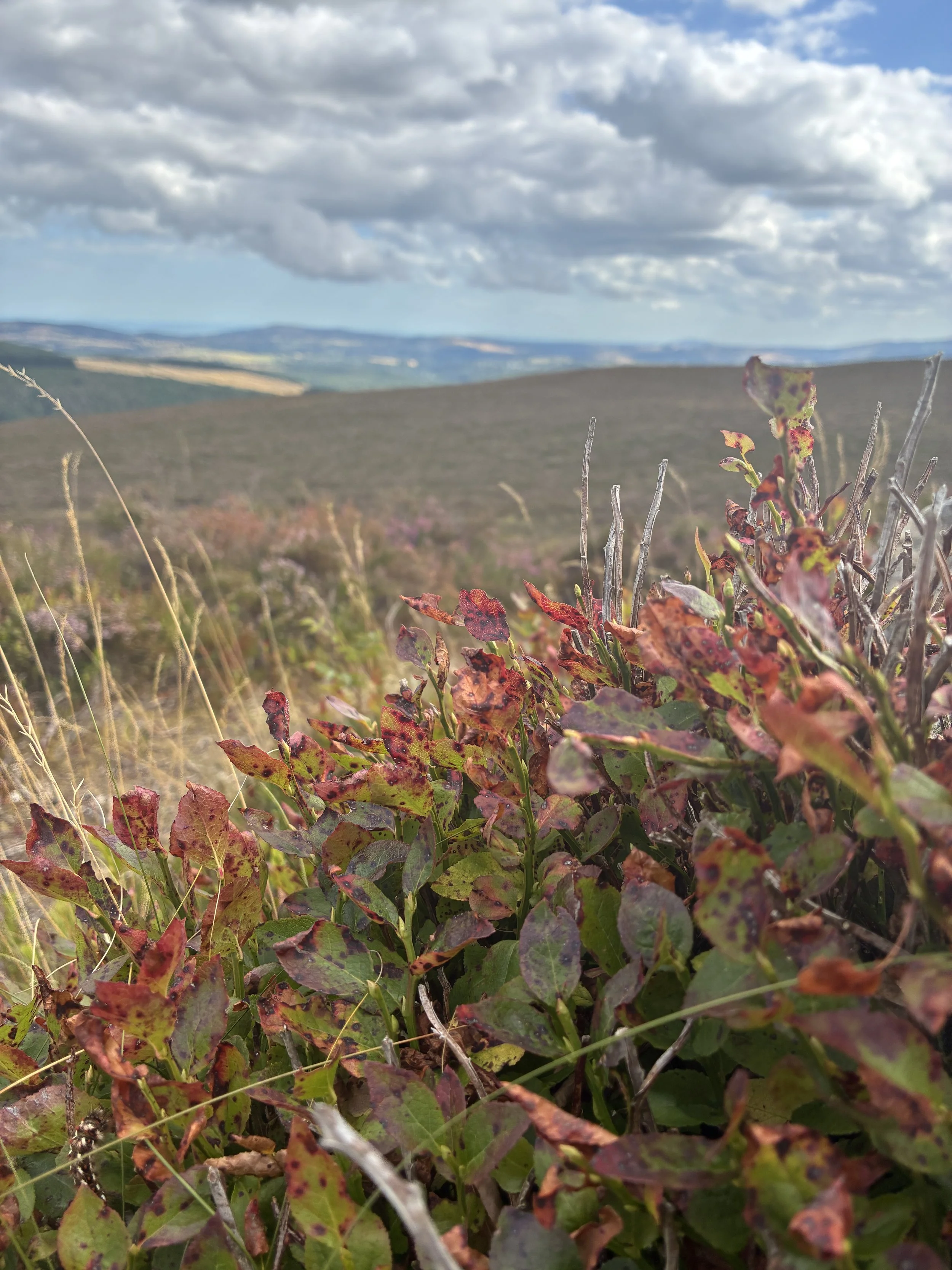 IMG_6624.JPG