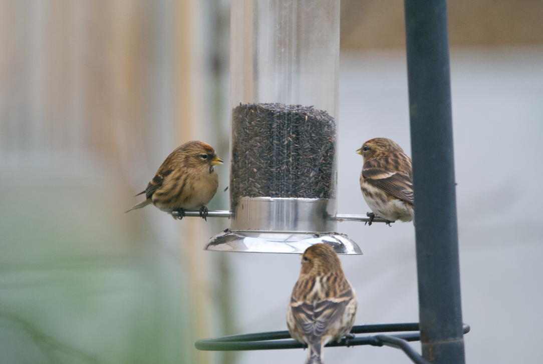 Screenshot 2023-04-28 at 20.27.26.png