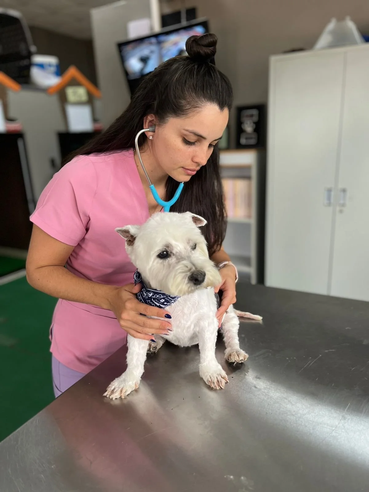 WhatsApp Image 2022-09-23 at 11.27.22 AM.jpeg