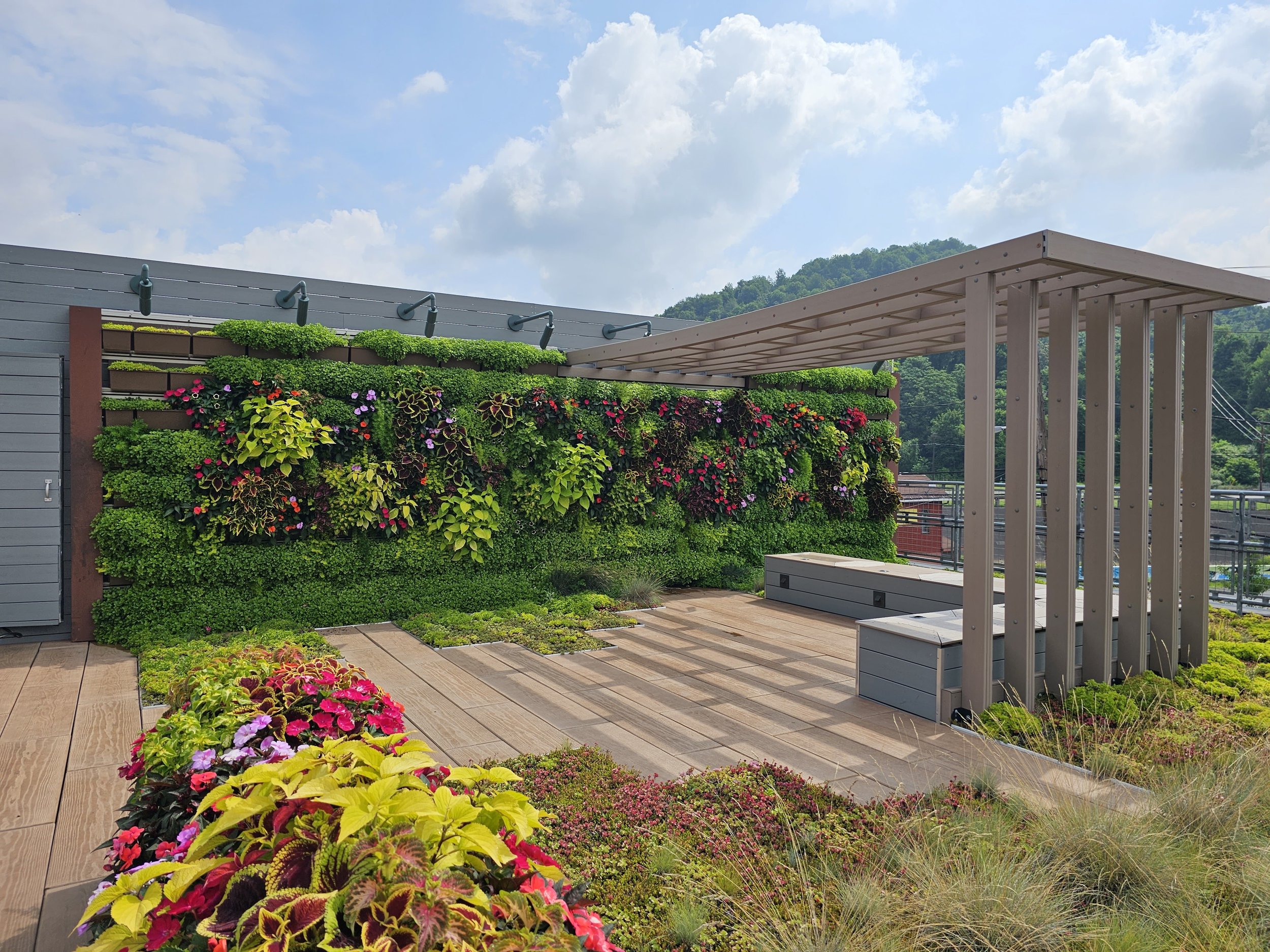 Full view of hanging garden and pergola