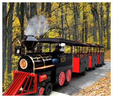 Bellatori Train