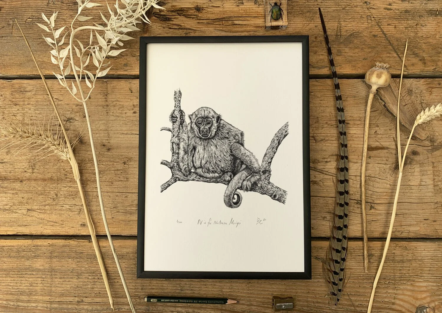 Northen+Muriqui+WEB1.jpg