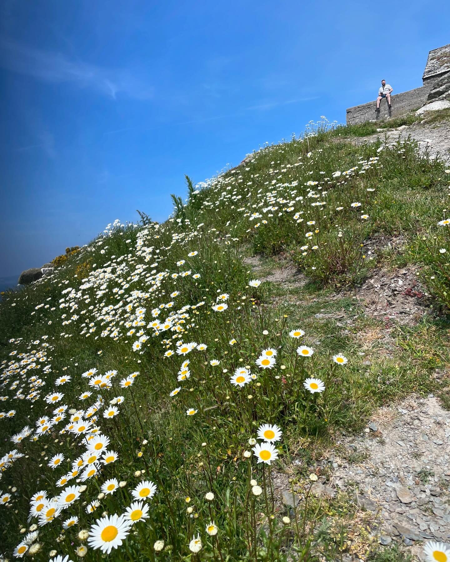 Today was much needed. Something happens to me on a Cornish cliff walk, my shoulders drop and my mind quietens, and I feel so happy! Rame Head is beautiful with an old chapel perched high on a cliff. The gorse was in full bloom and the air was full o