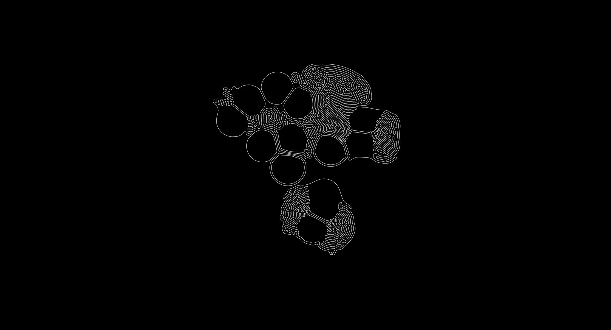 Lichen growth simulation output in white line work on black, part of  the generative design process for Slow Medium by Craftwork