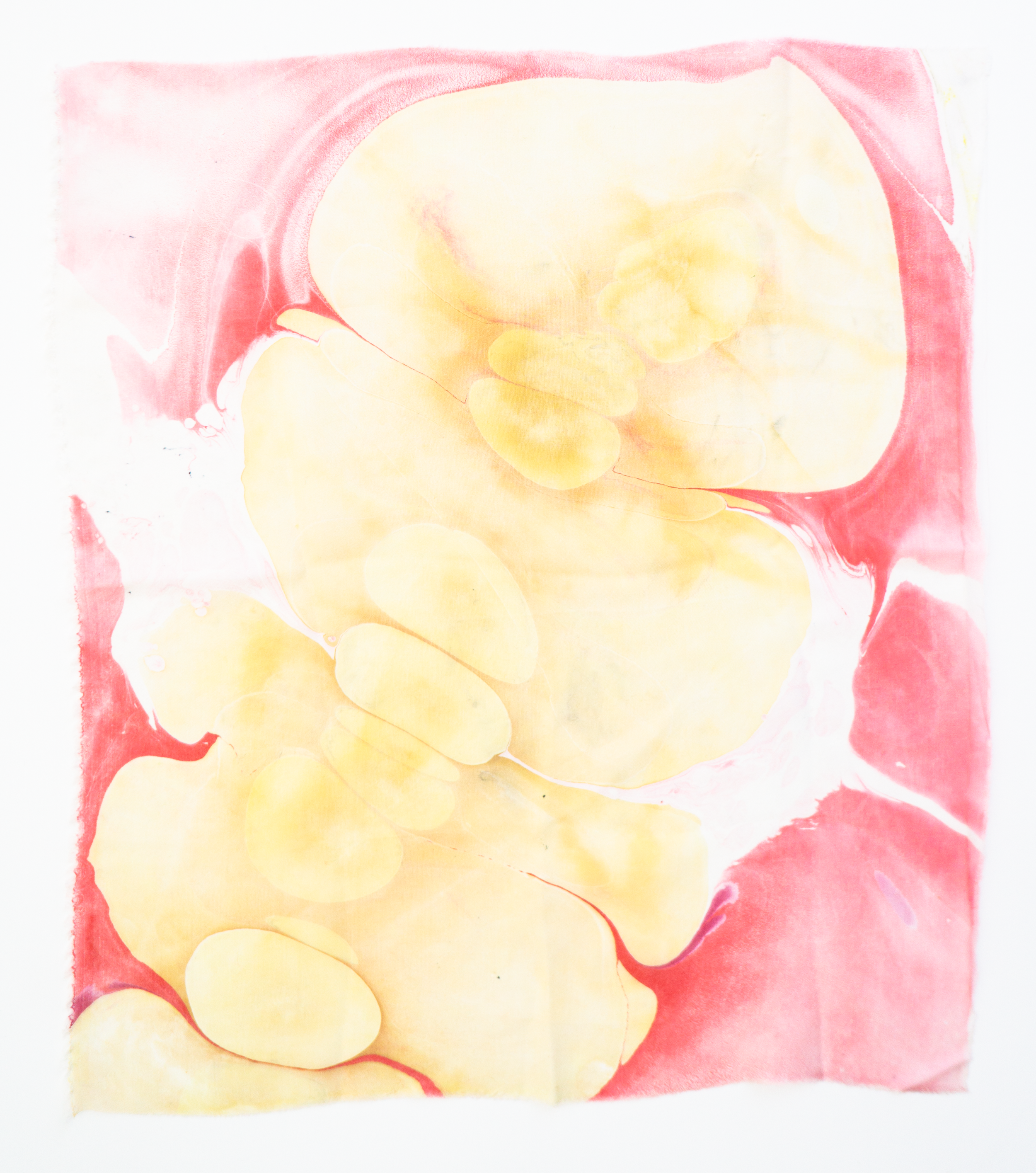 Marbling Marbling Experiment Craftwork Collective M001