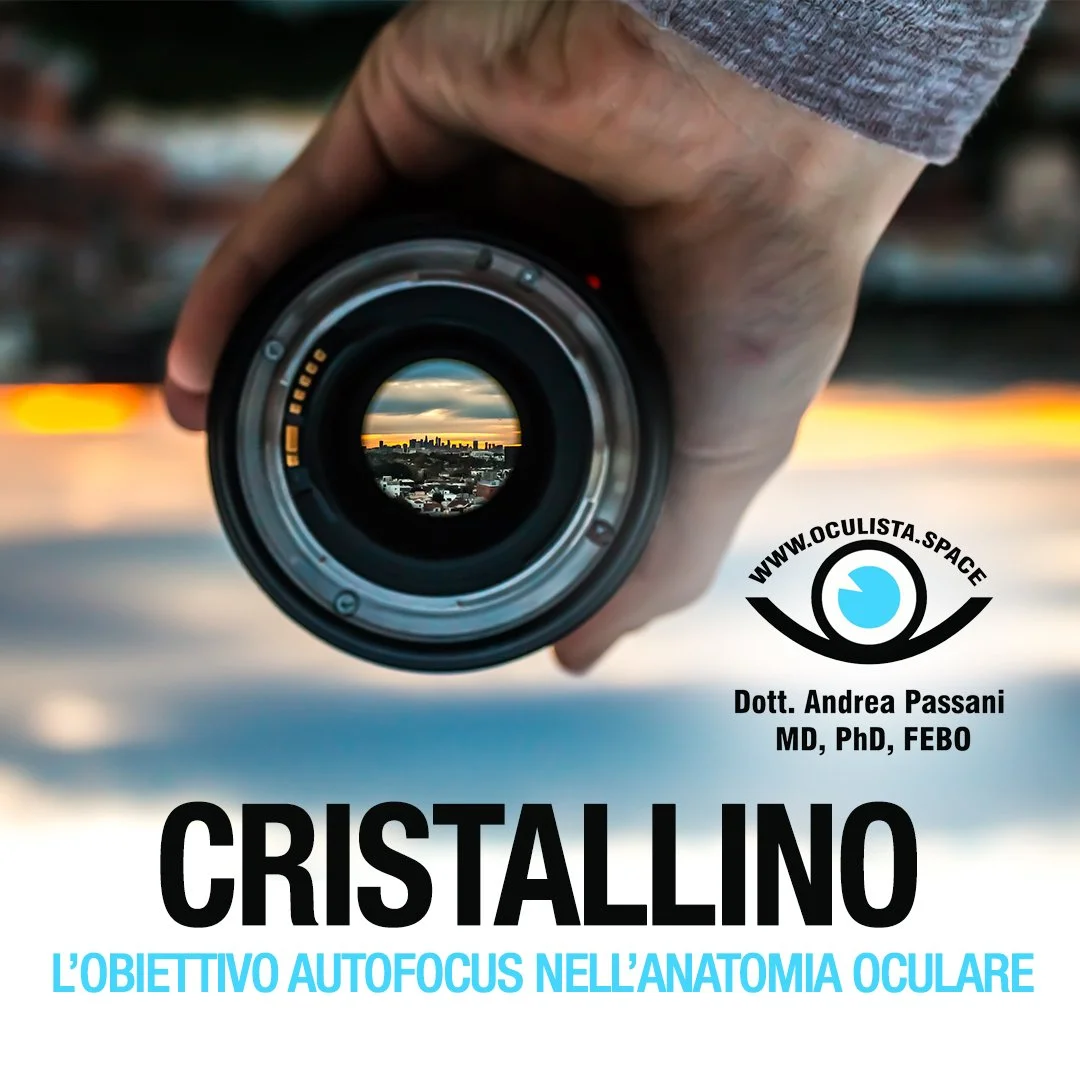 Il Cristallino: l’obiettivo autofocus nell'anatomia oculare