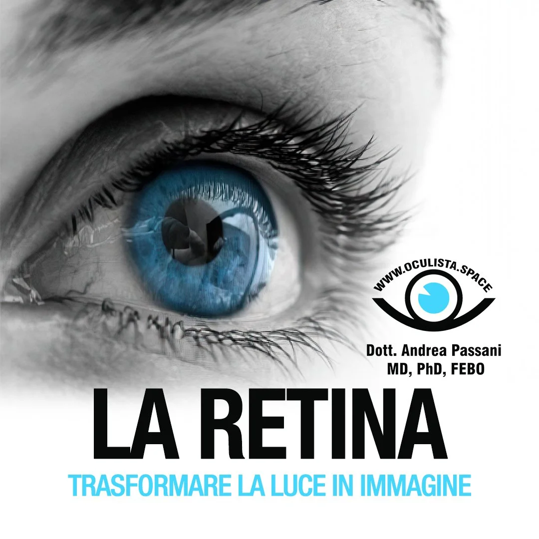 La retina: trasformare la luce in immagine