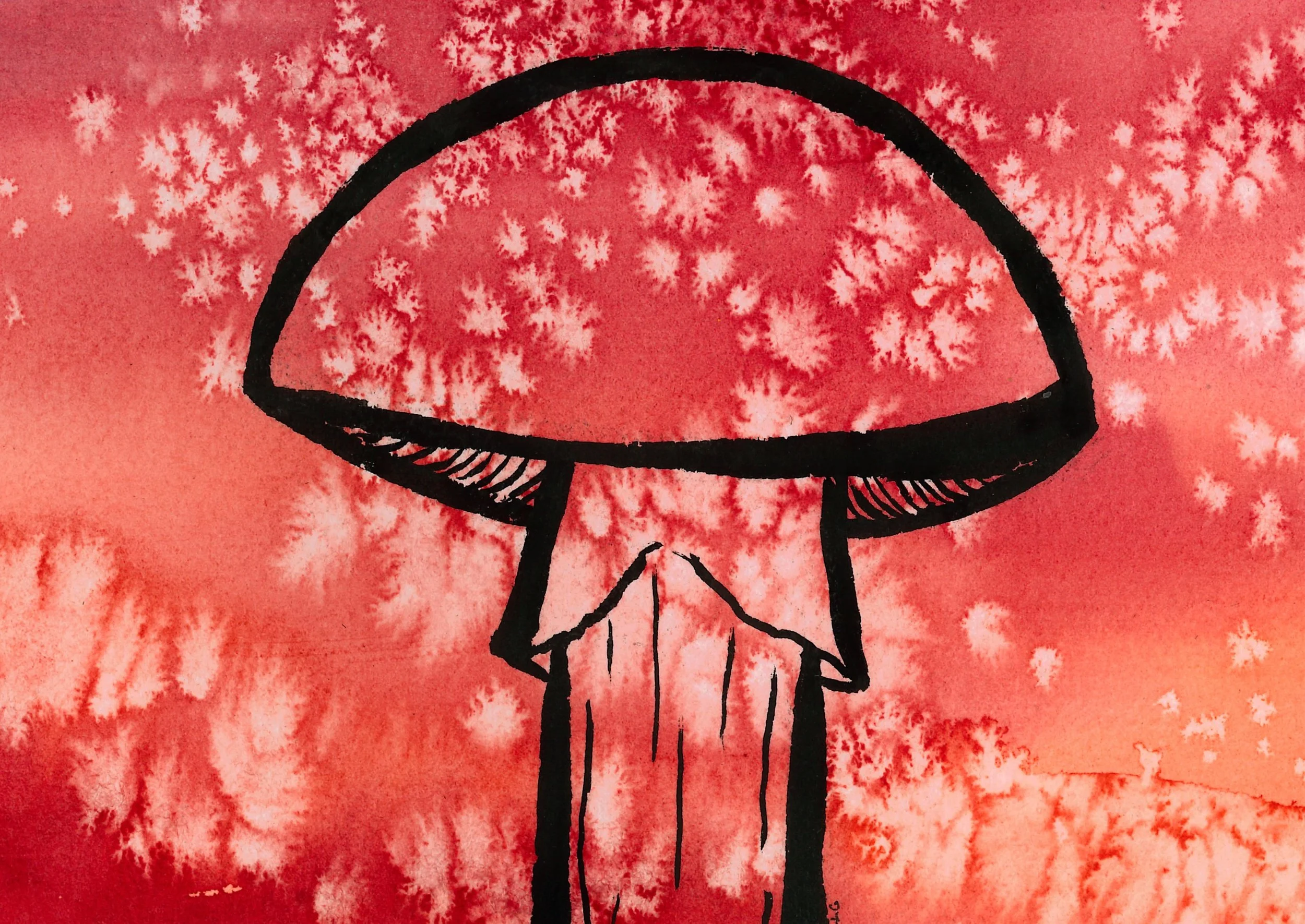 fly agaric.jpeg