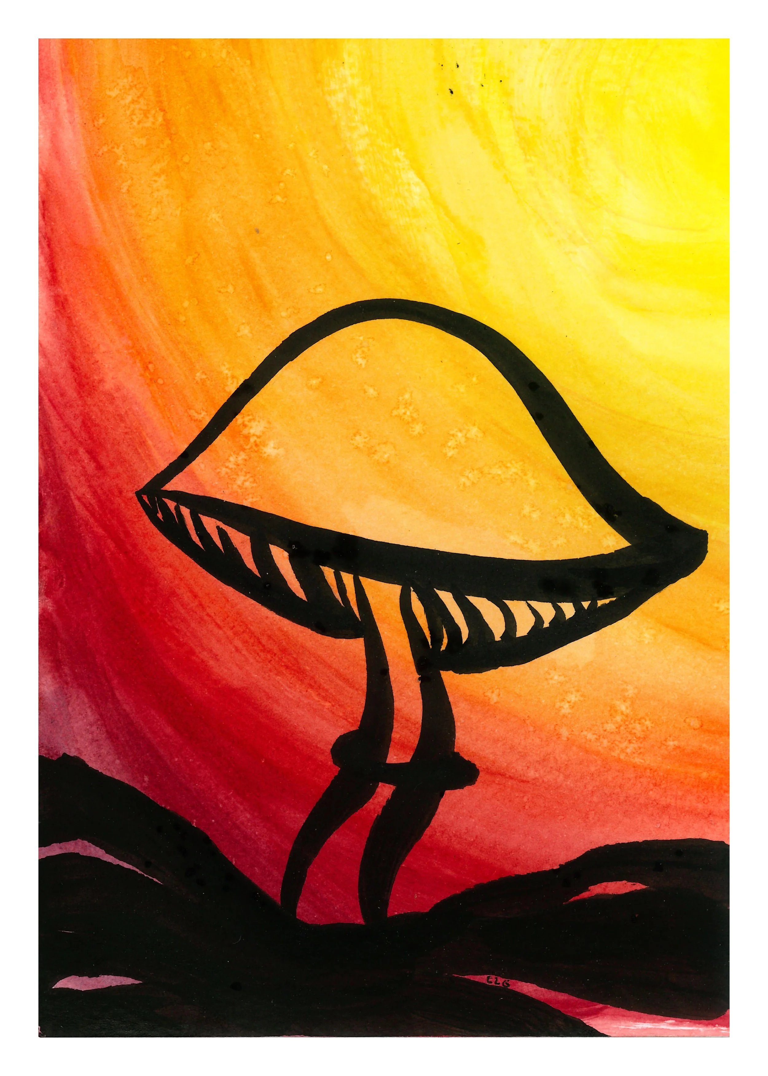 sunset psilocybe.jpeg