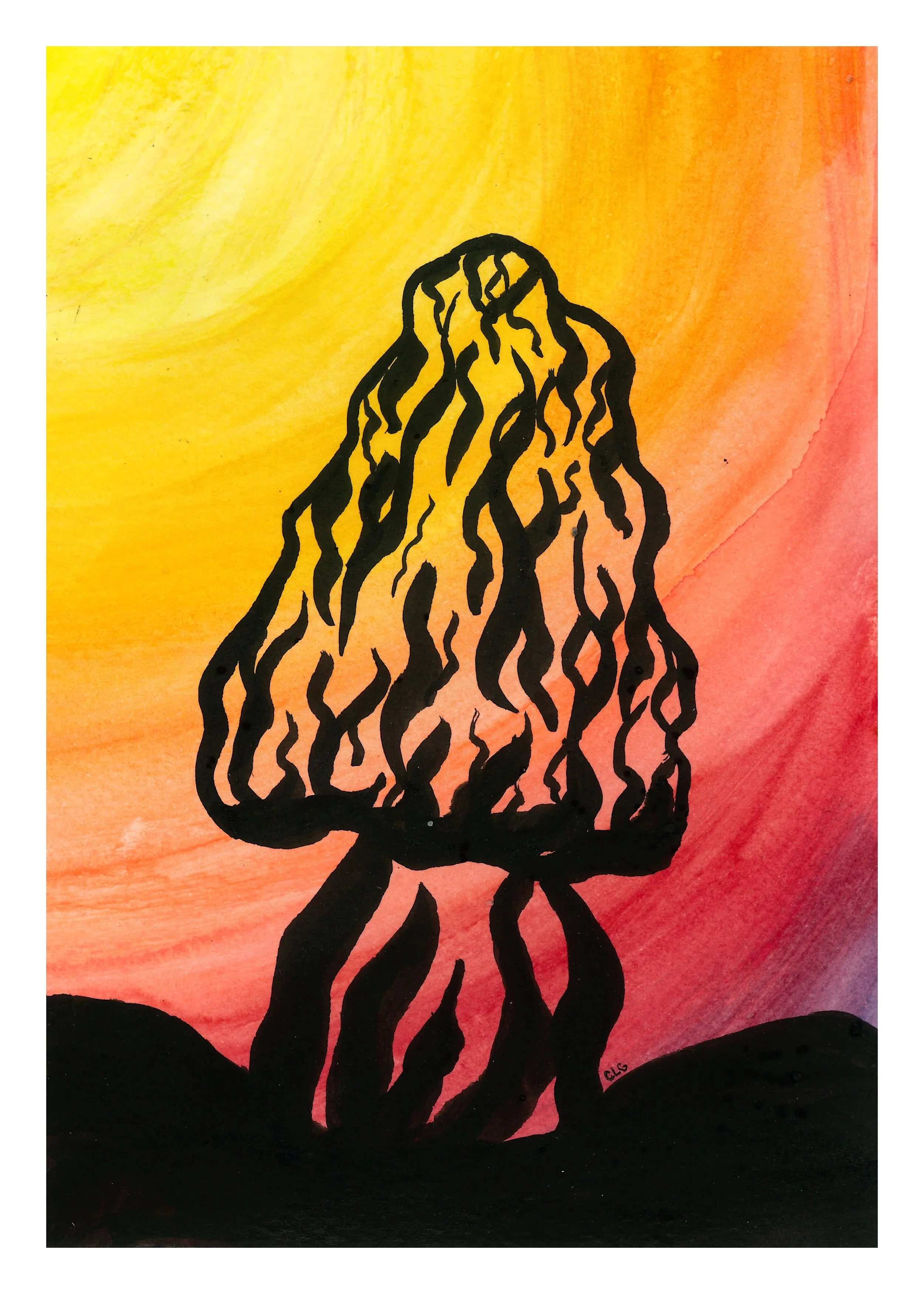 sunset morel.jpeg