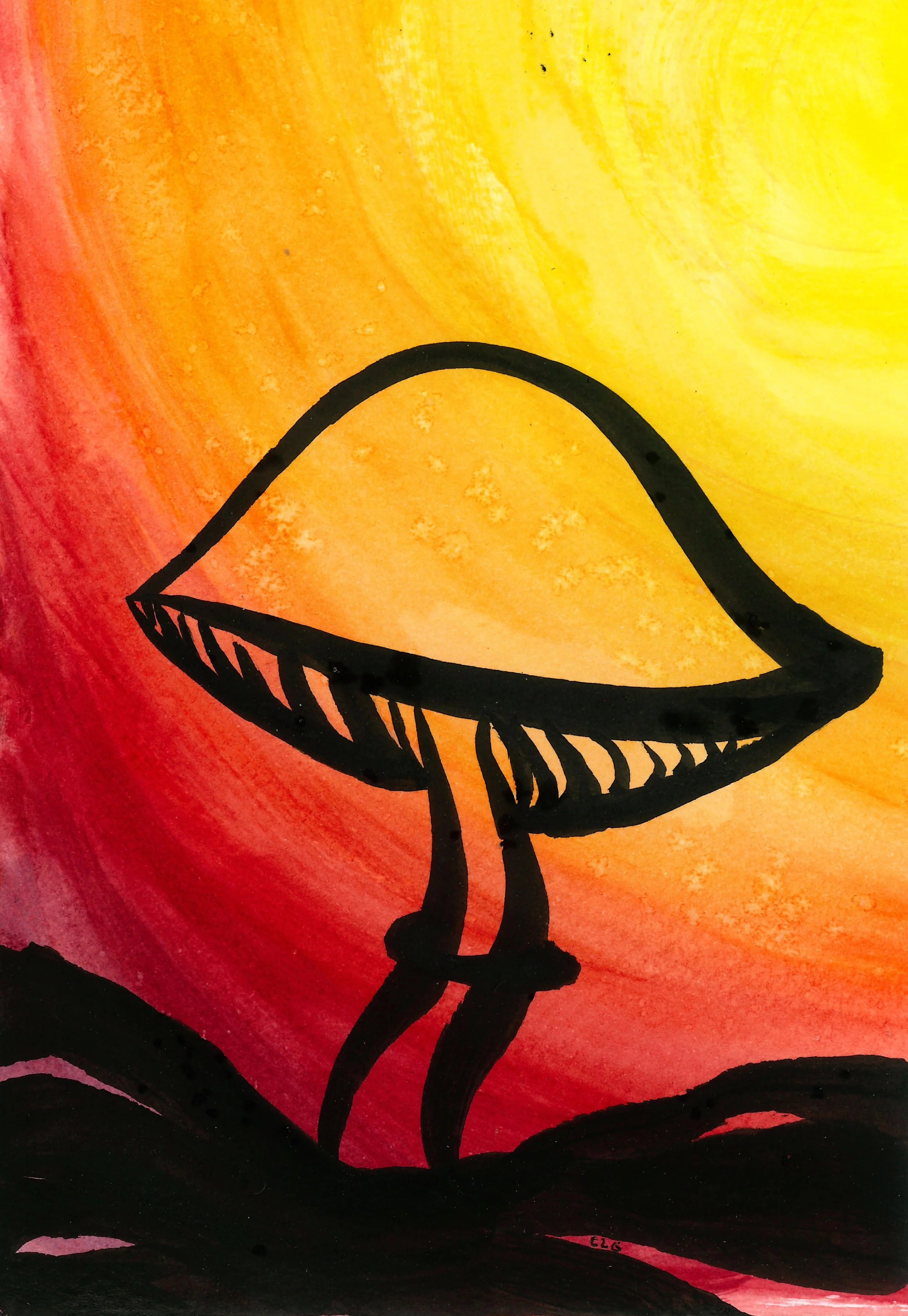 sunset psilocybe.jpeg