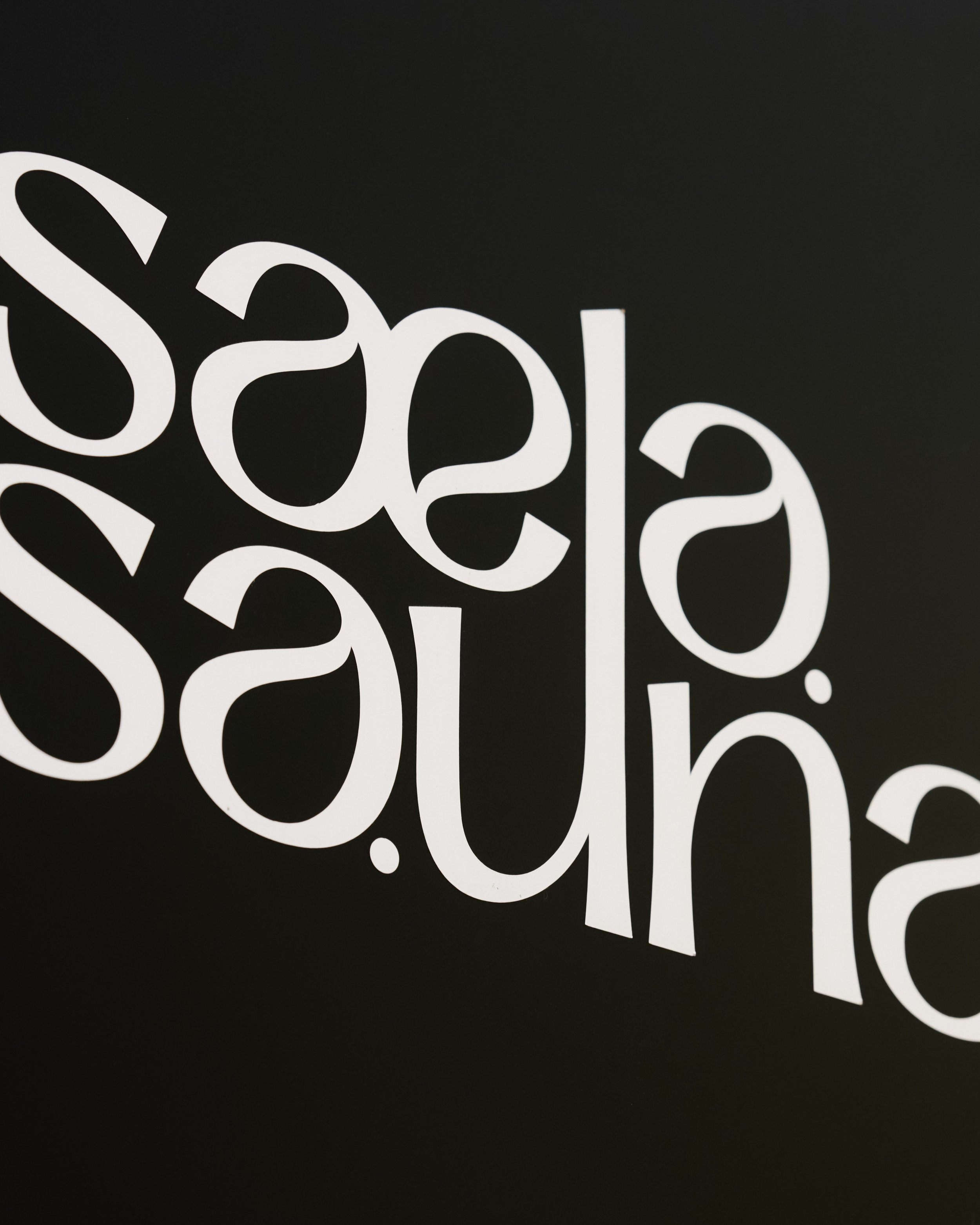 Image of Saela Sauna logo for commercial photography Newcastle Upon Tyne UK