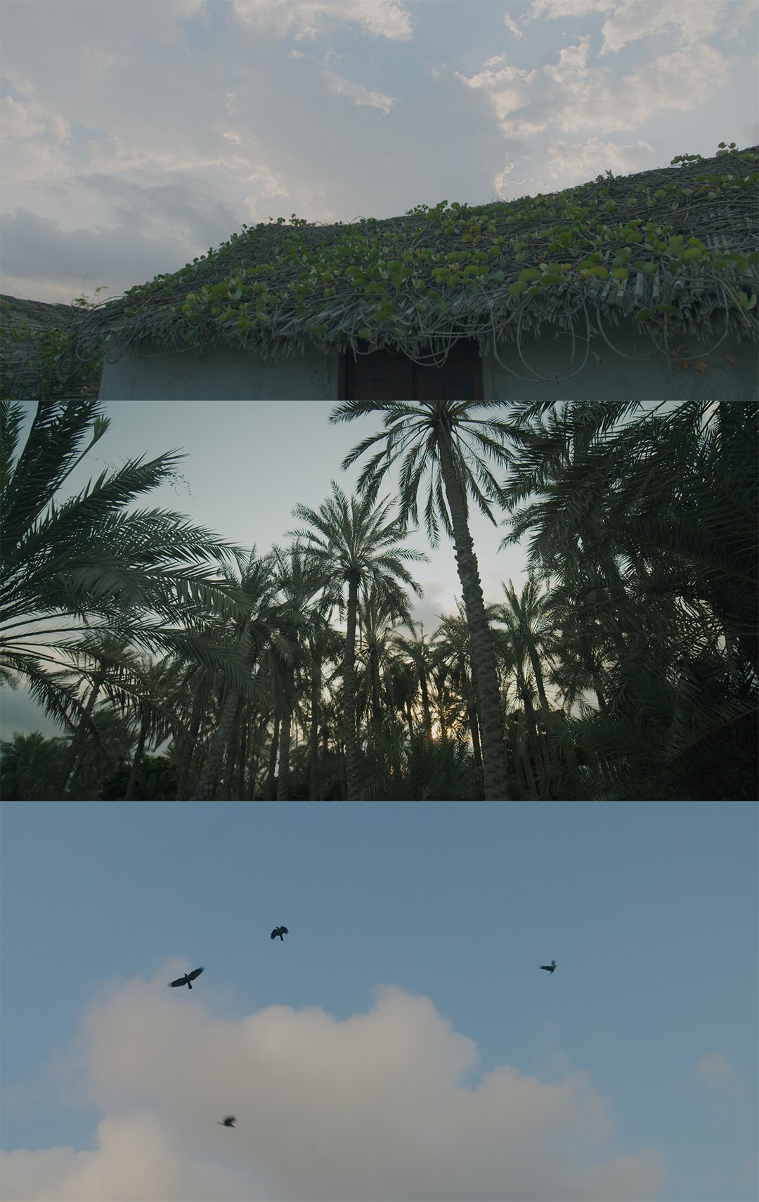 frames4.jpg