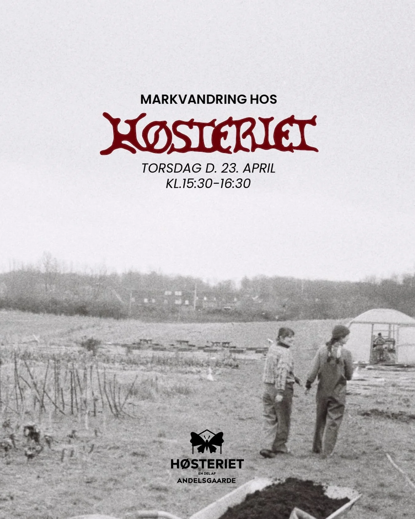 Kom med p&aring; markvandring torsdag d. 23 april kl. 15:30-16:30 i H&oslash;steriet - vi fort&aelig;ller om vores dyrkningsmetoder, erfaringer, udfordringer og begejstring for arbejdet med jorden og madproduktion. 

Ingen tilmelding p&aring;kr&aelig