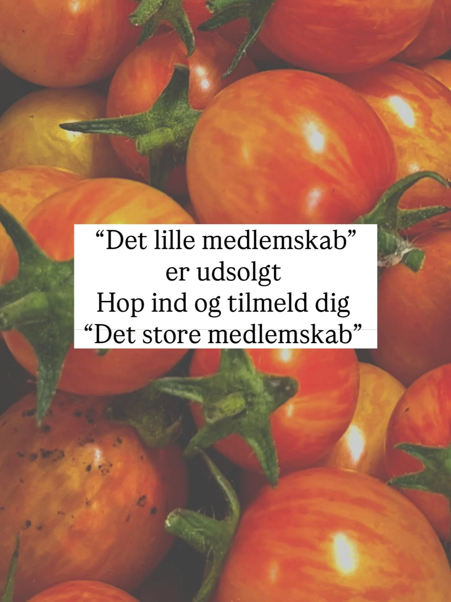 Vi er allerede udsolgte p&aring; &ldquo;Det lille medlemskab&rdquo; til s&aelig;sonen 2026! Tak til alle som har tilmeldt sig indtil nu! Men der er stadig flere &ldquo;Det store medlemskab&rdquo; at bestille! Du f&aring;r 8 enheder (gr&oslash;ntsager