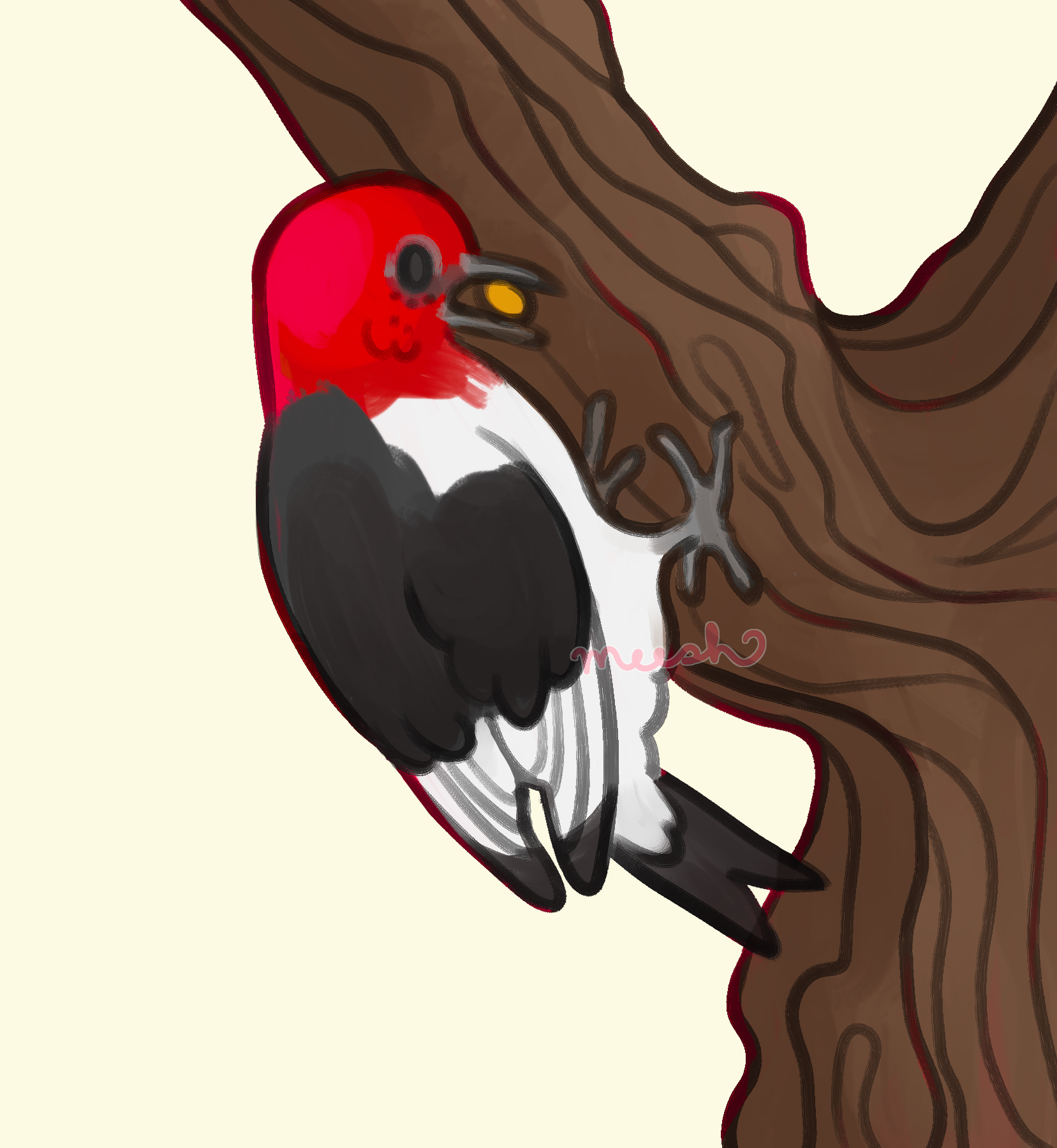 red headed woodpecker_wm.png