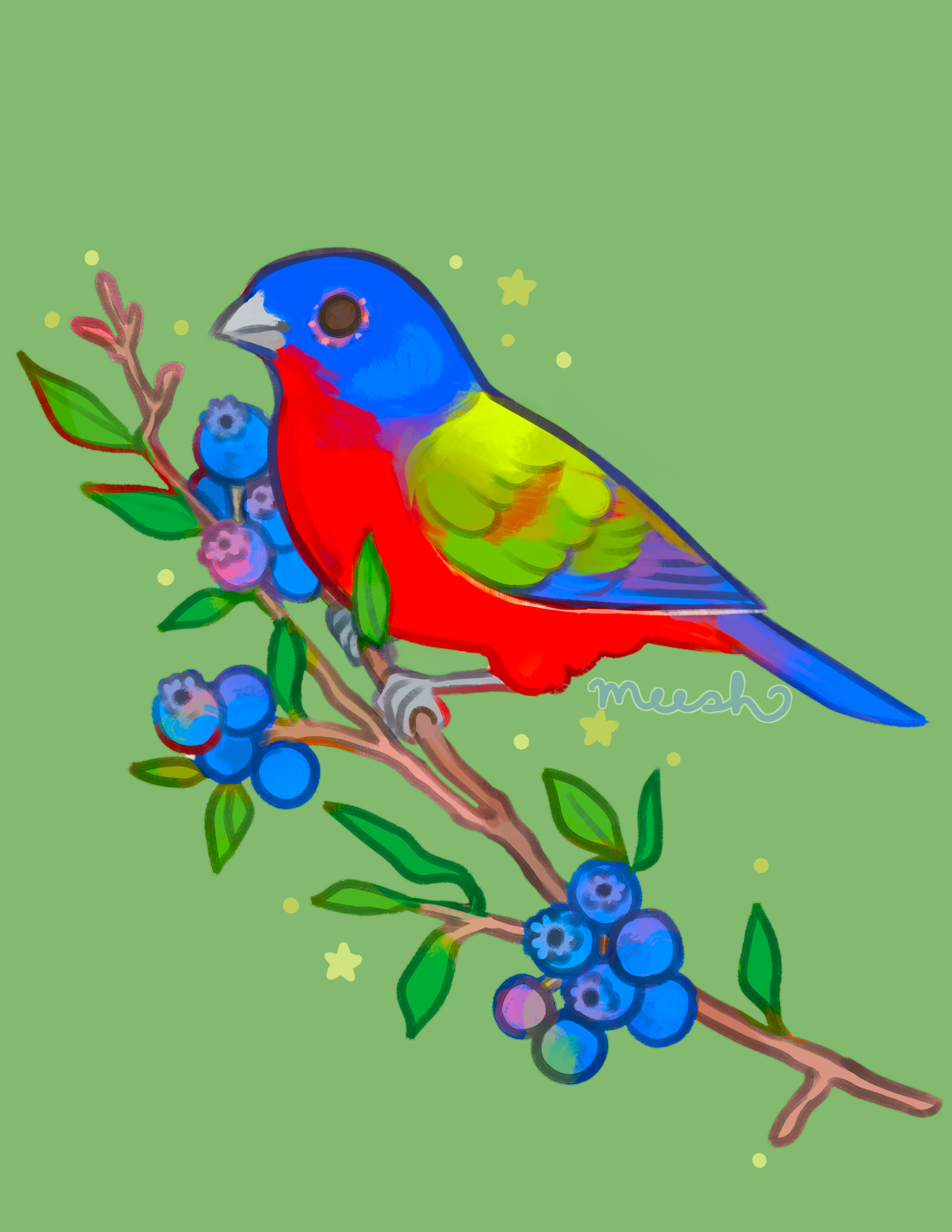 painted+bunting+wm+3.png