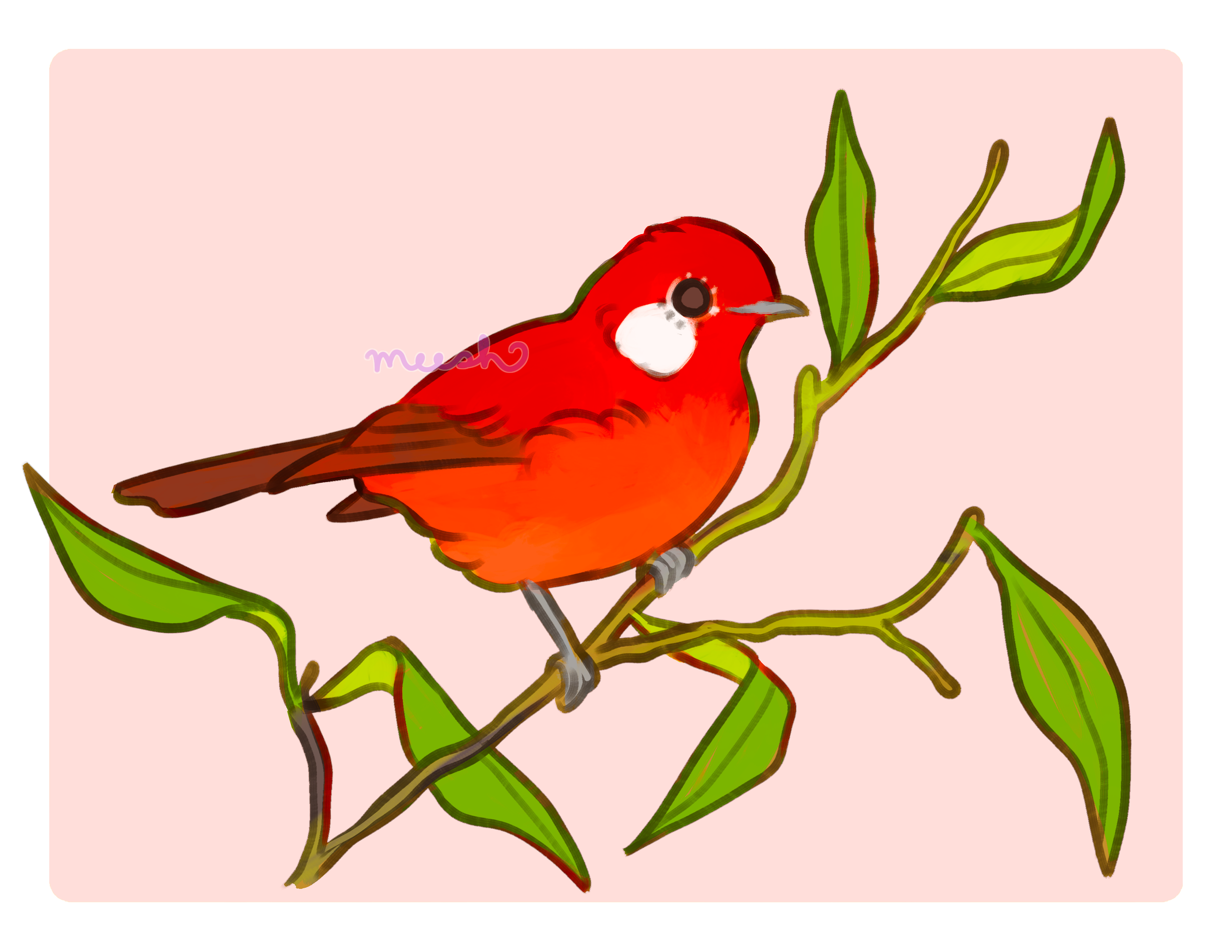 red warbler 2 wm.png