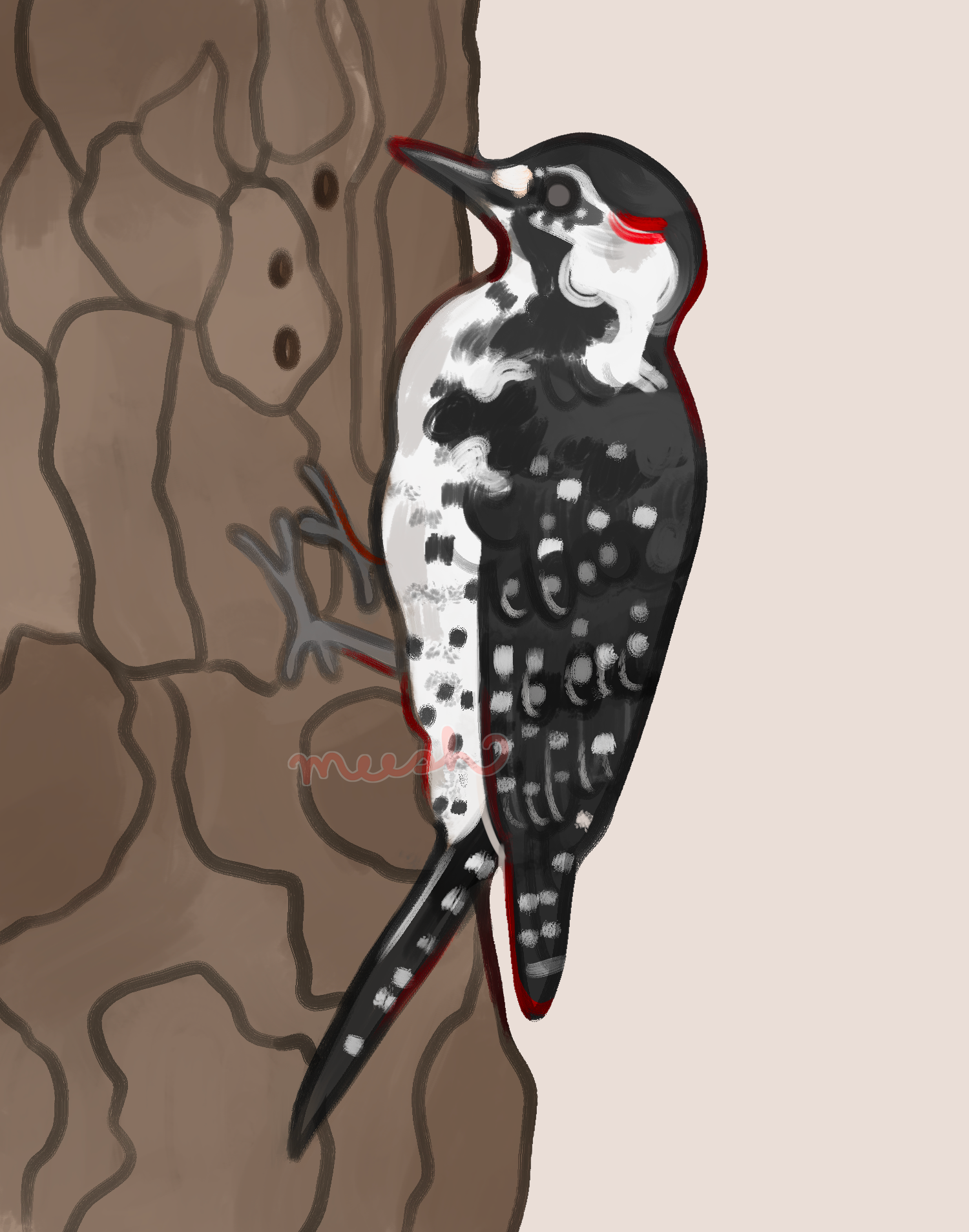 red cockaded woodpecker_wm.png