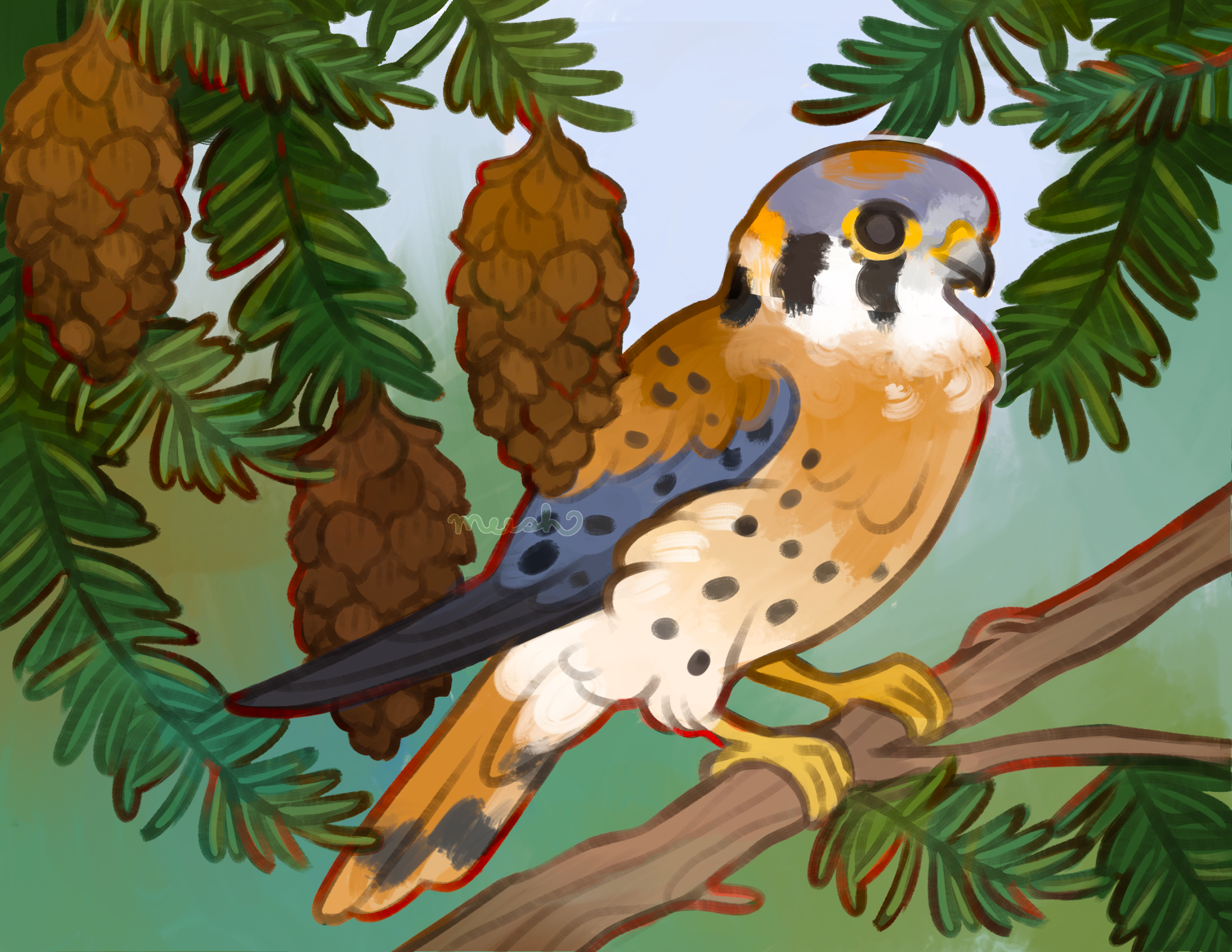 2026_AMERICANKESTREL_POSTCARD2wm.png