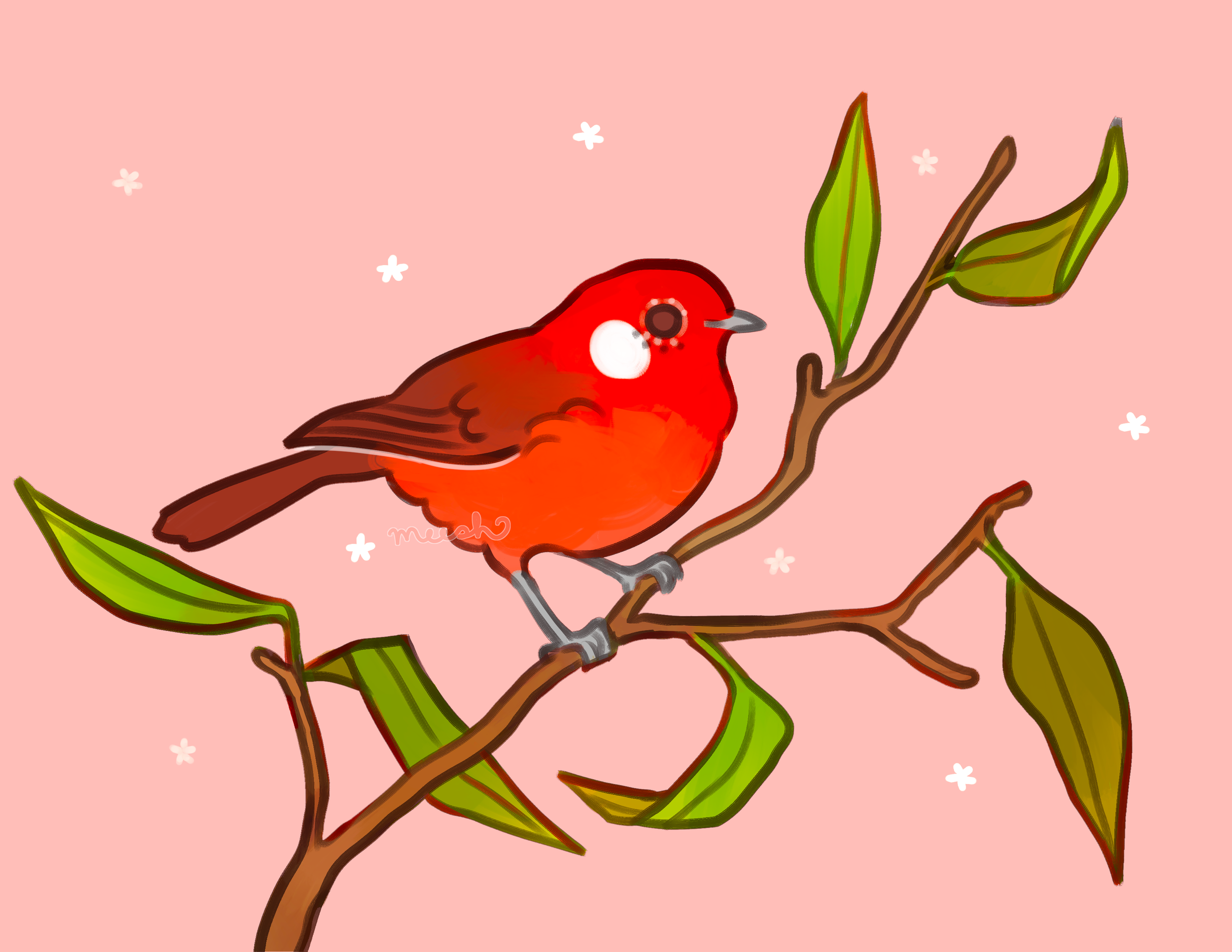 red warbler 2 wm.png