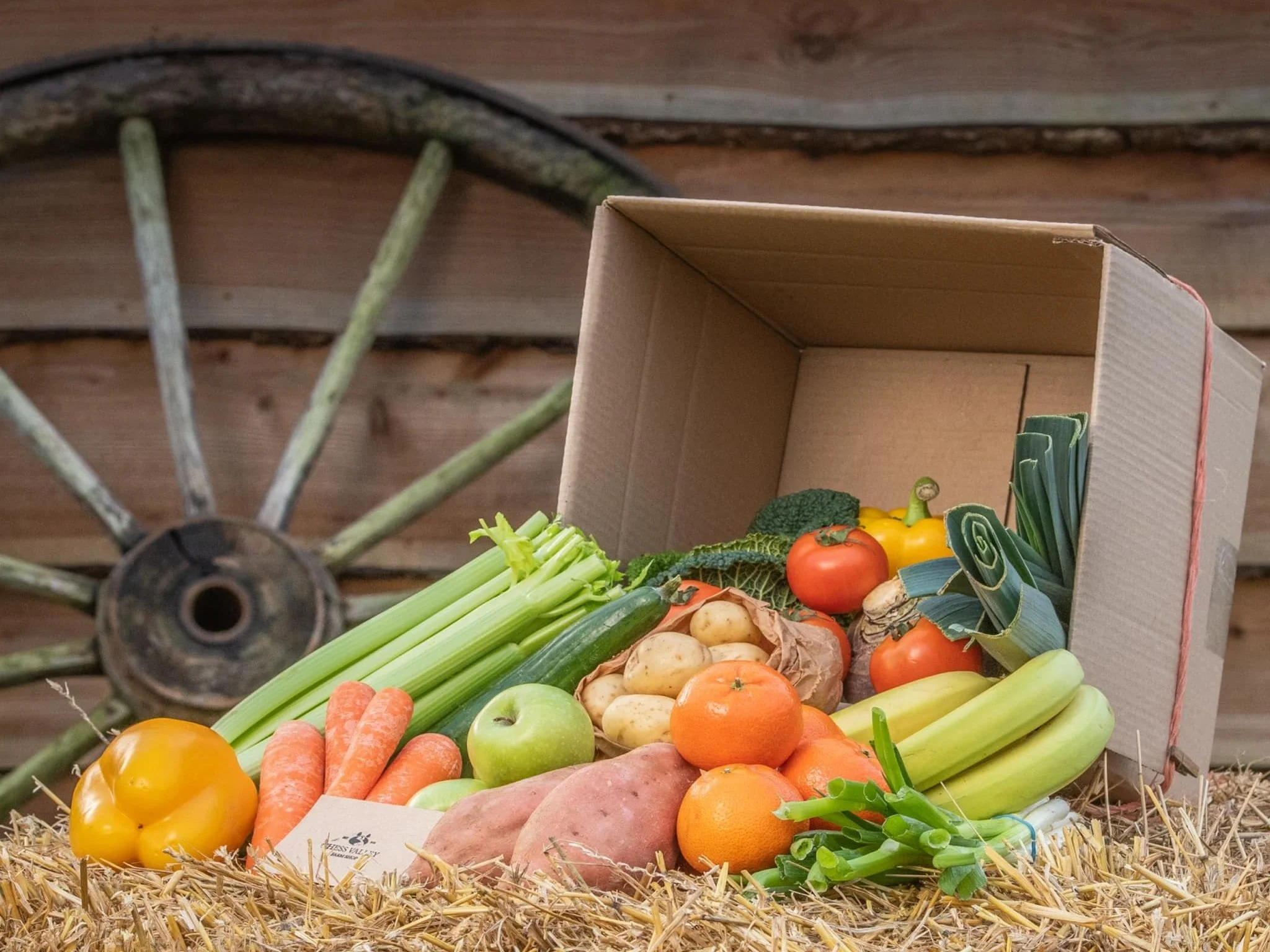 Products — Bean Family Farm