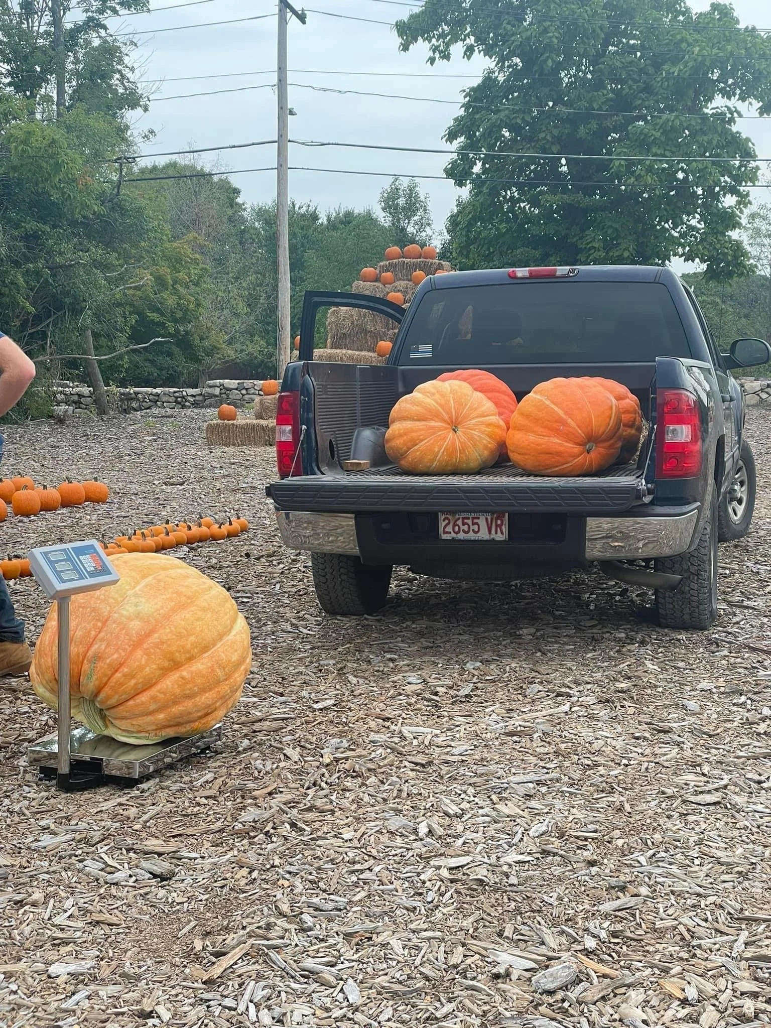Bean Family Farm Local Farm Fresh Produce Pastures Meats Seasonal