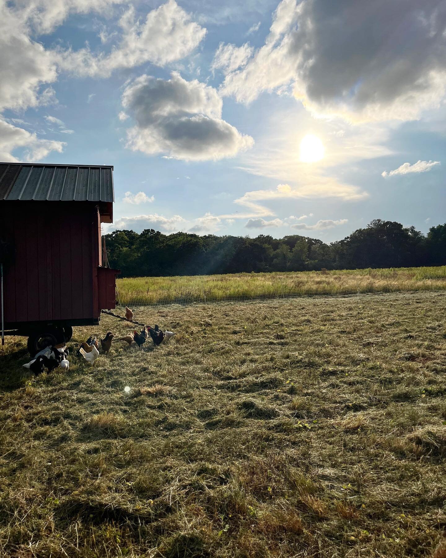 Bean Family Farm Local Farm Fresh Produce Pastures Meats Seasonal