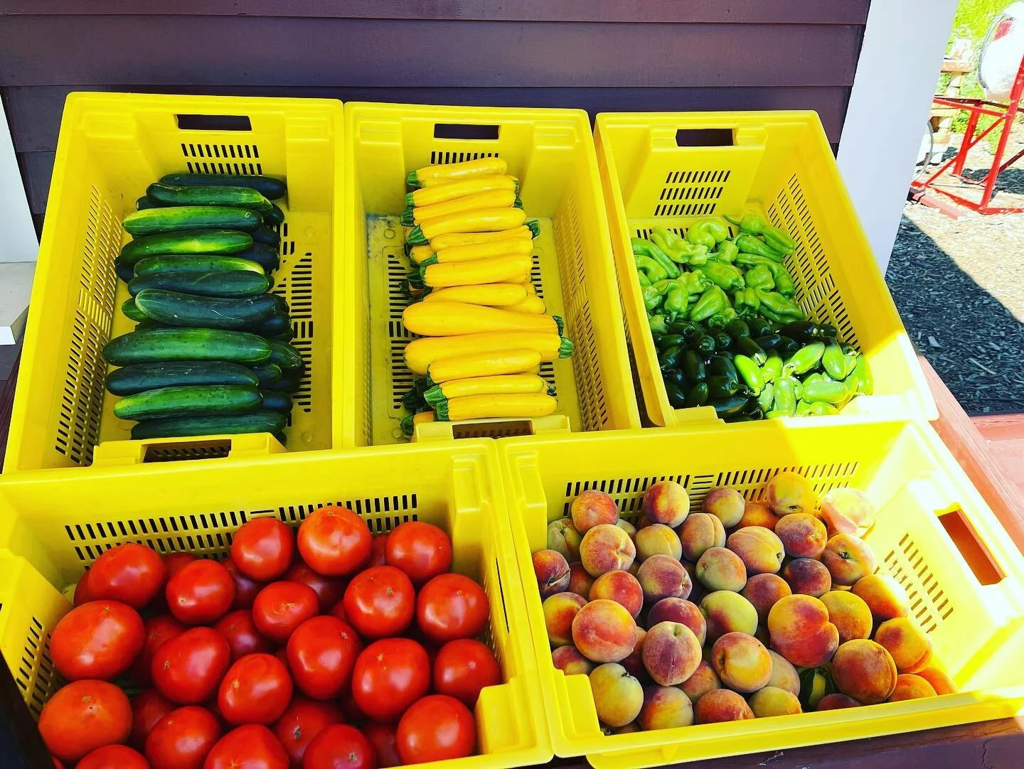 Bean Family Farm Local Farm Fresh Produce Pastures Meats Seasonal