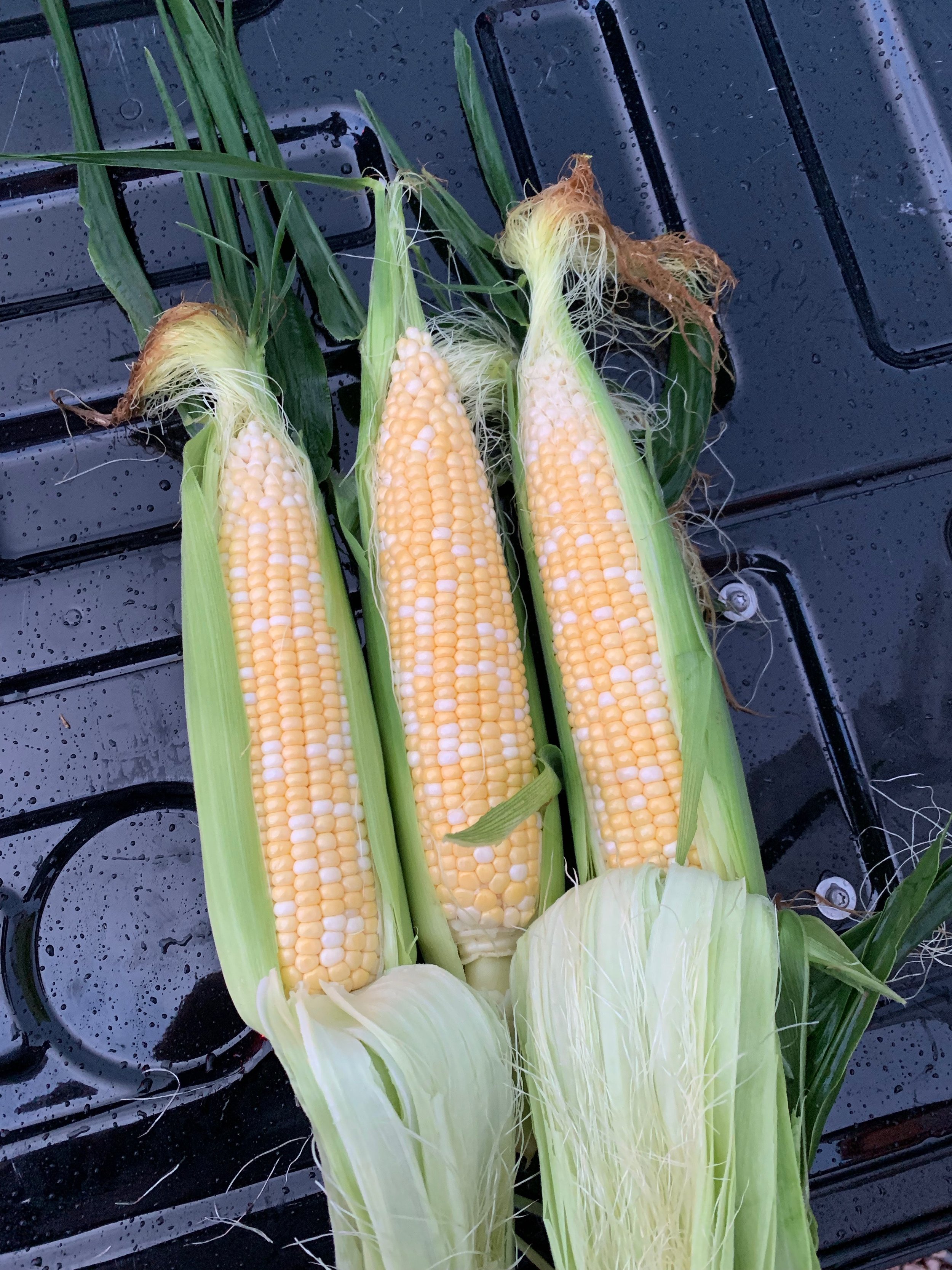 Bean Family Farm Local Farm Fresh Produce Pastures Meats Seasonal