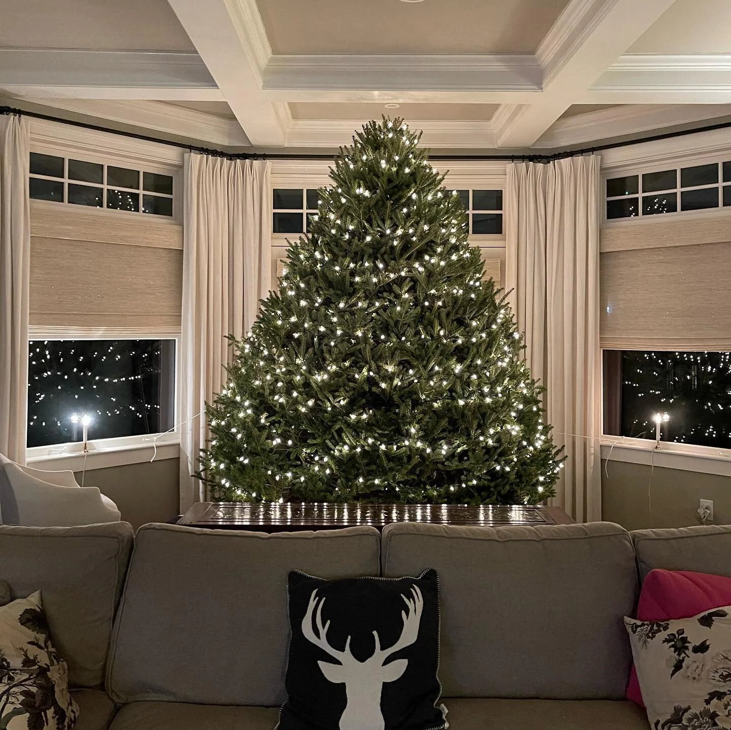 Bean Family Farm Local Farm Fresh Produce Pastures Meats Seasonal