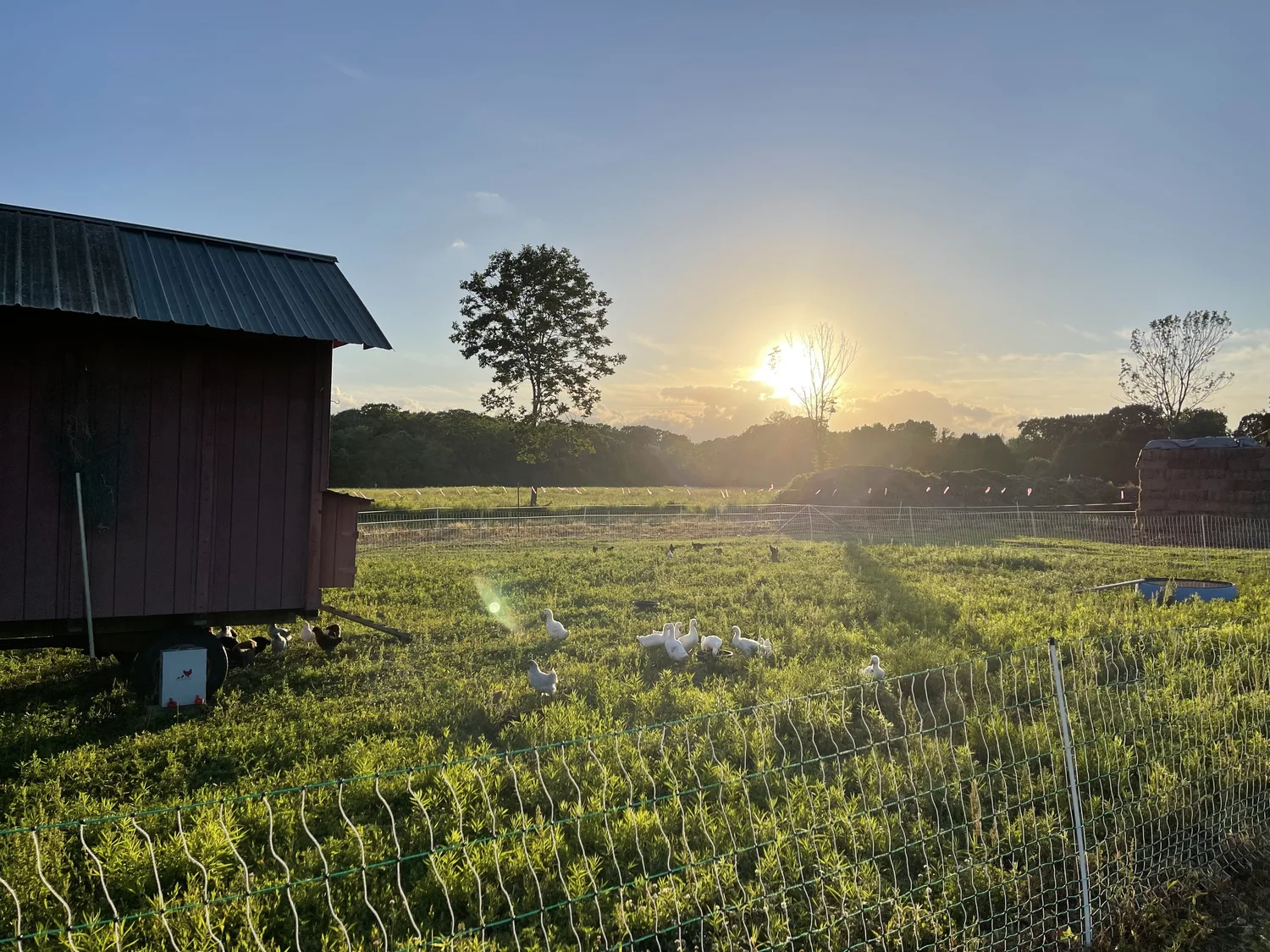 Practices — Bean Family Farm