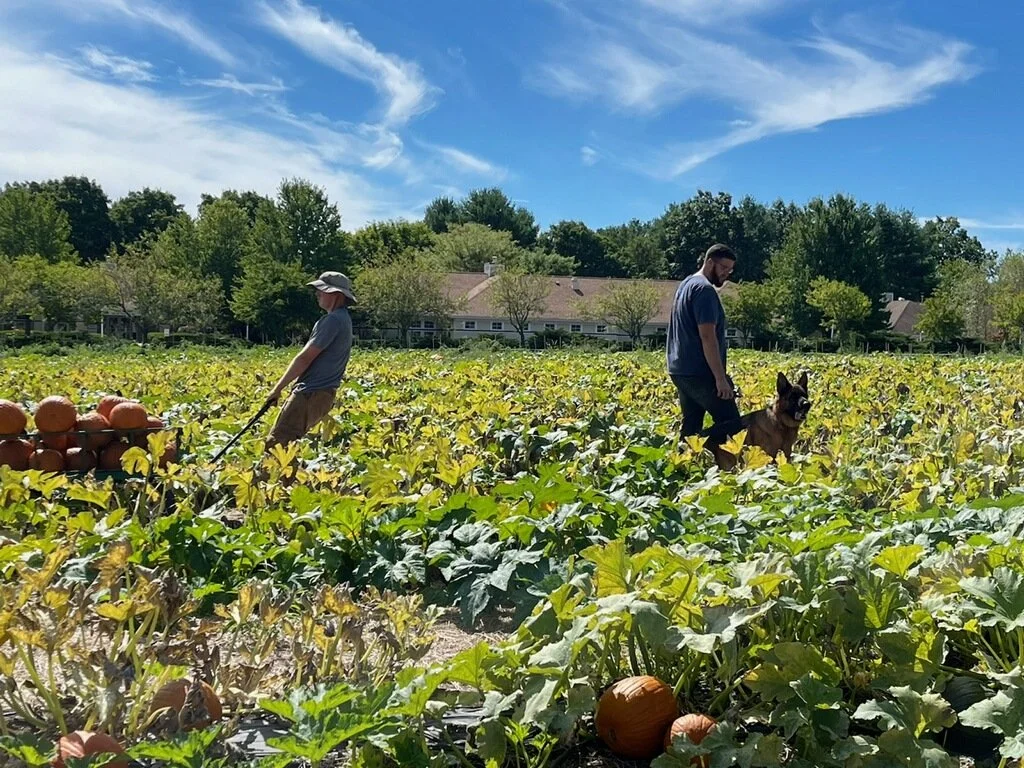 Fall on the Farm — Bean Family Farm