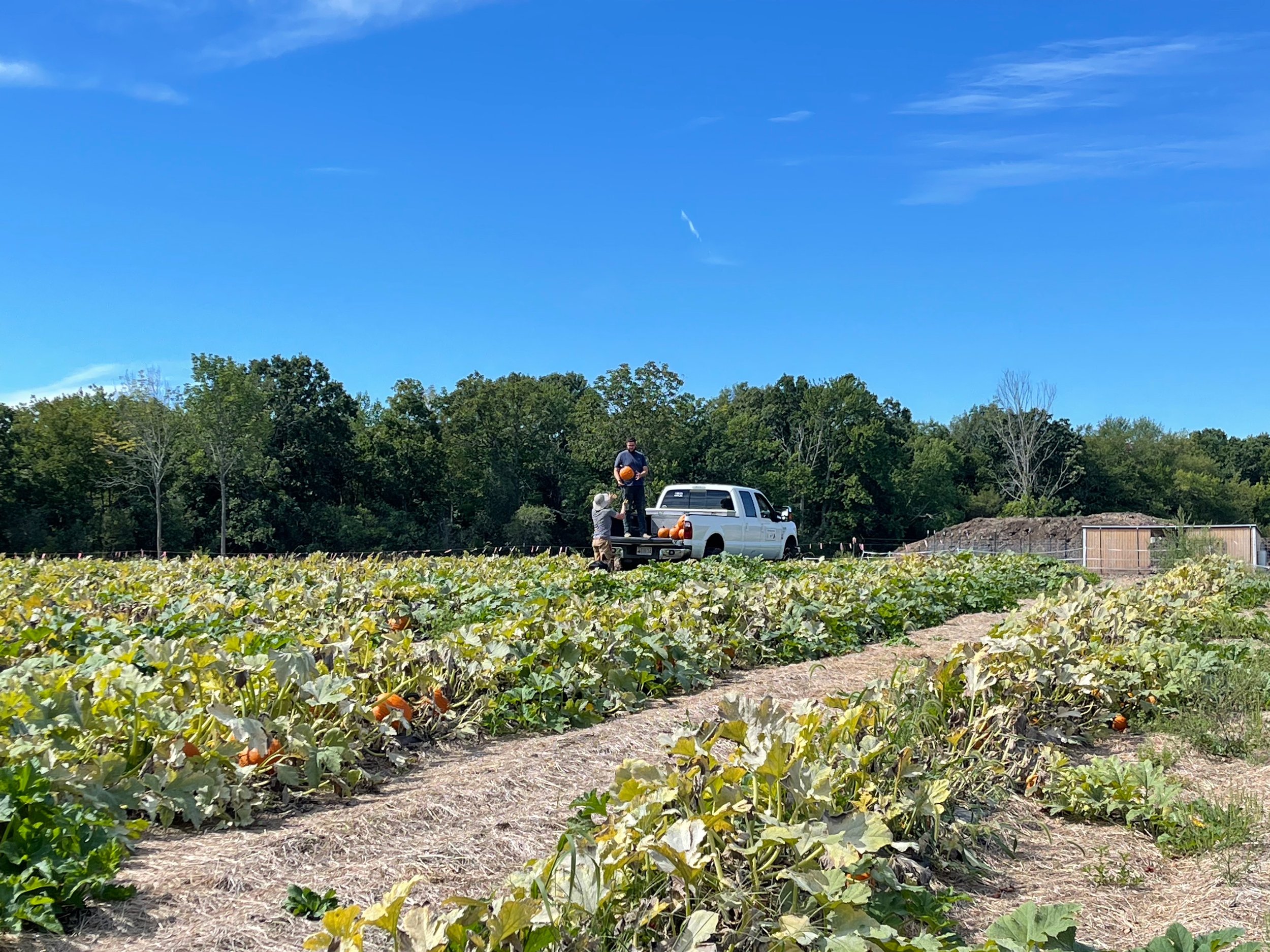 Our Story — Bean Family Farm