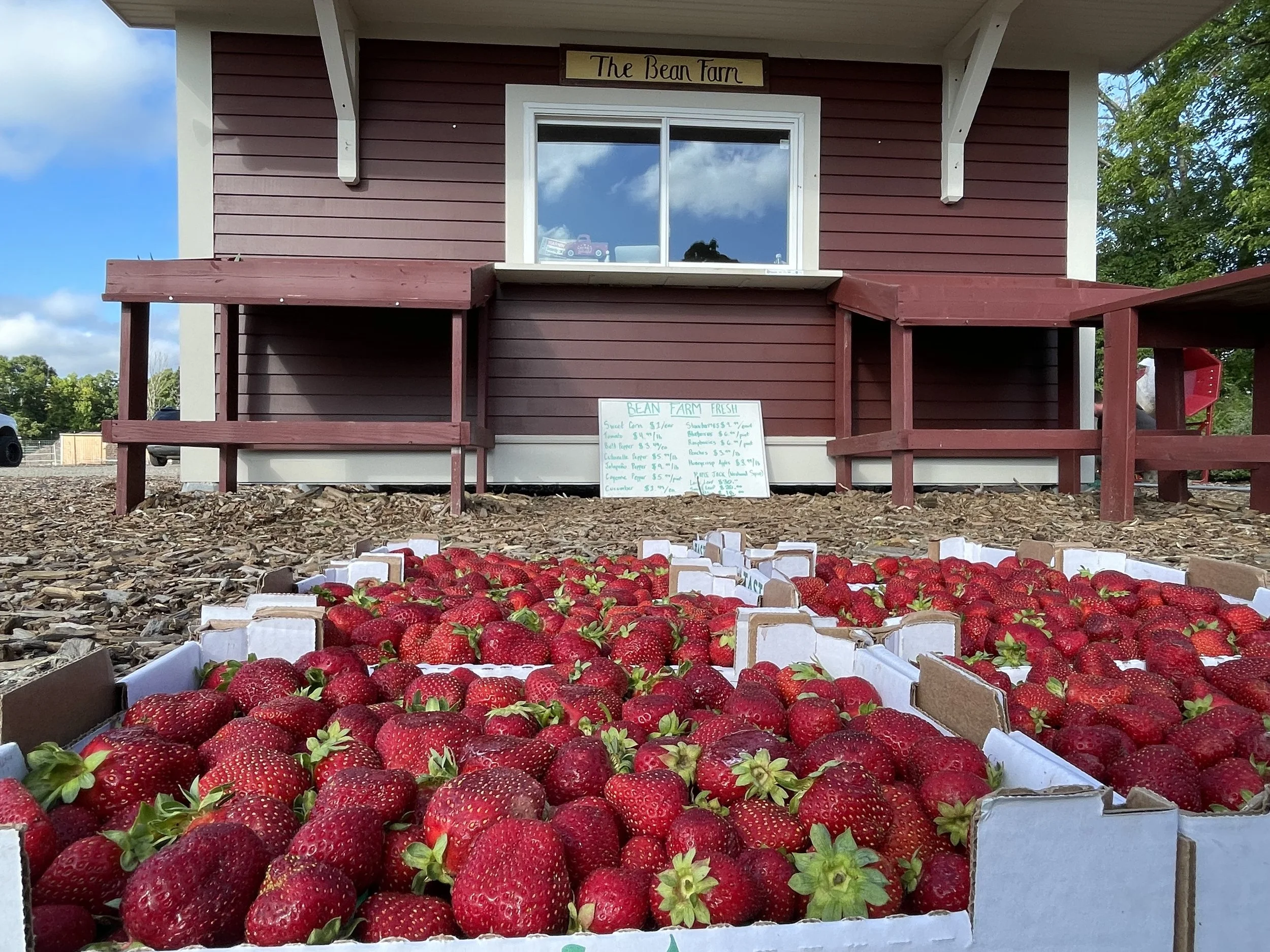 Our Story — Bean Family Farm