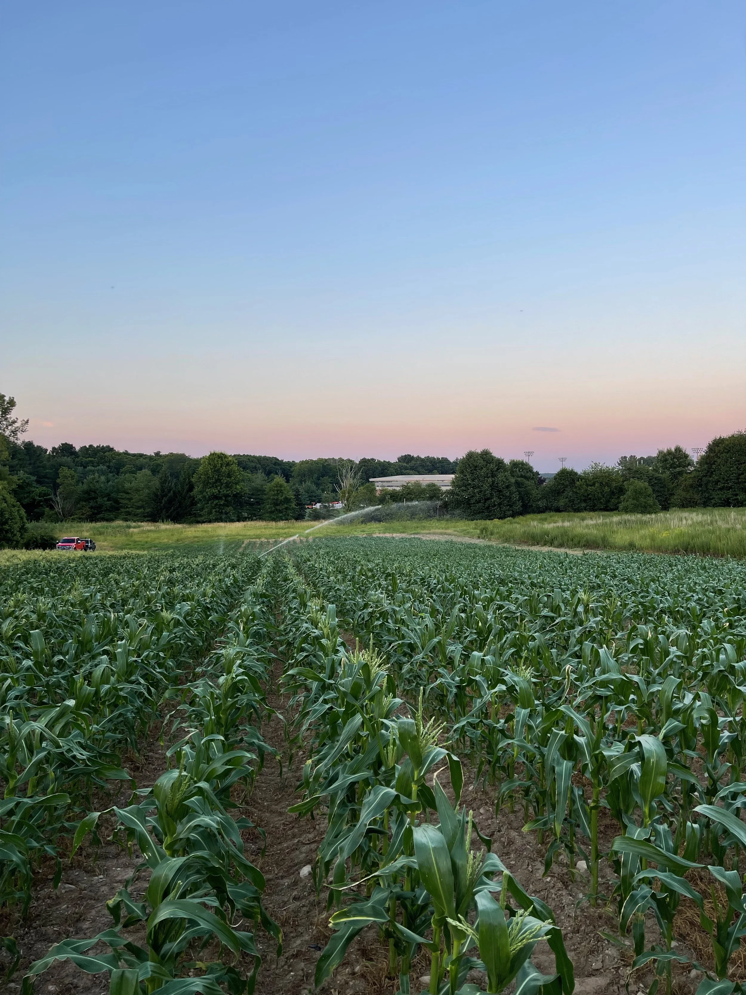 Bean Family Farm Local Farm Fresh Produce Pastures Meats Seasonal