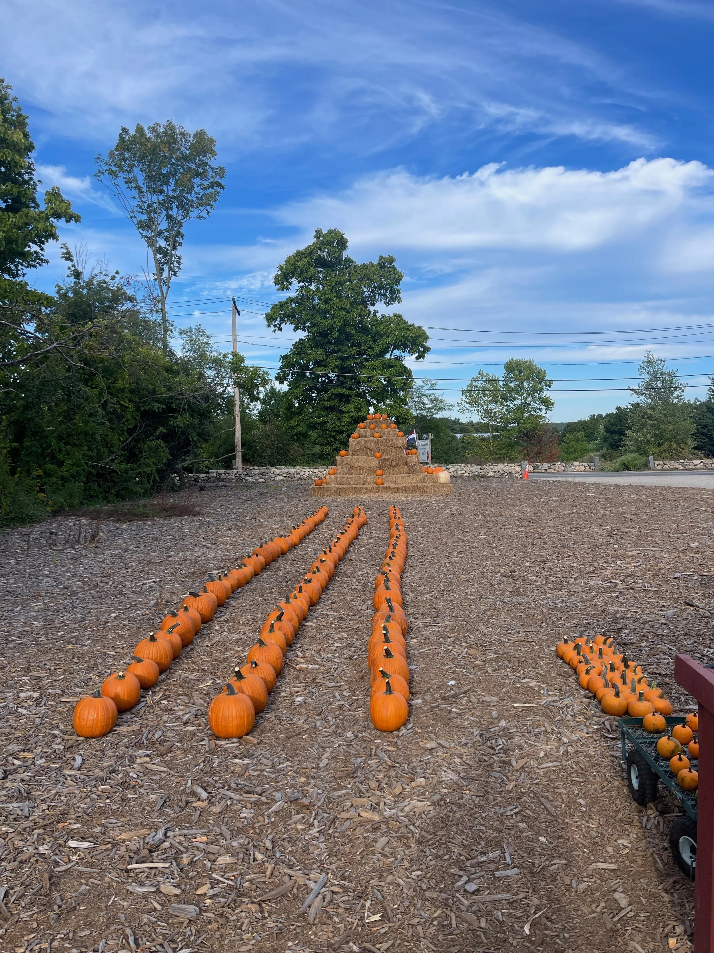 Fall on the Farm — Bean Family Farm