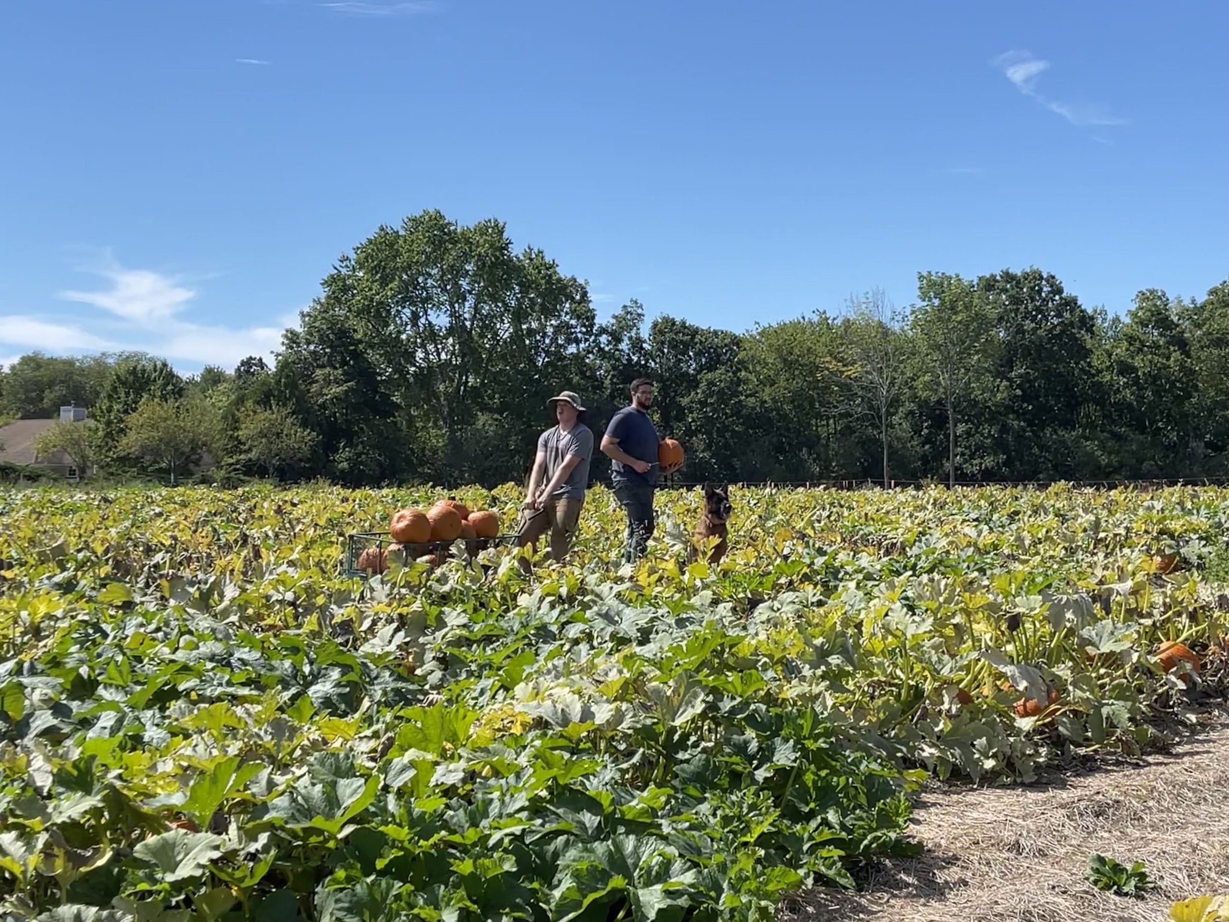 Our Story — Bean Family Farm